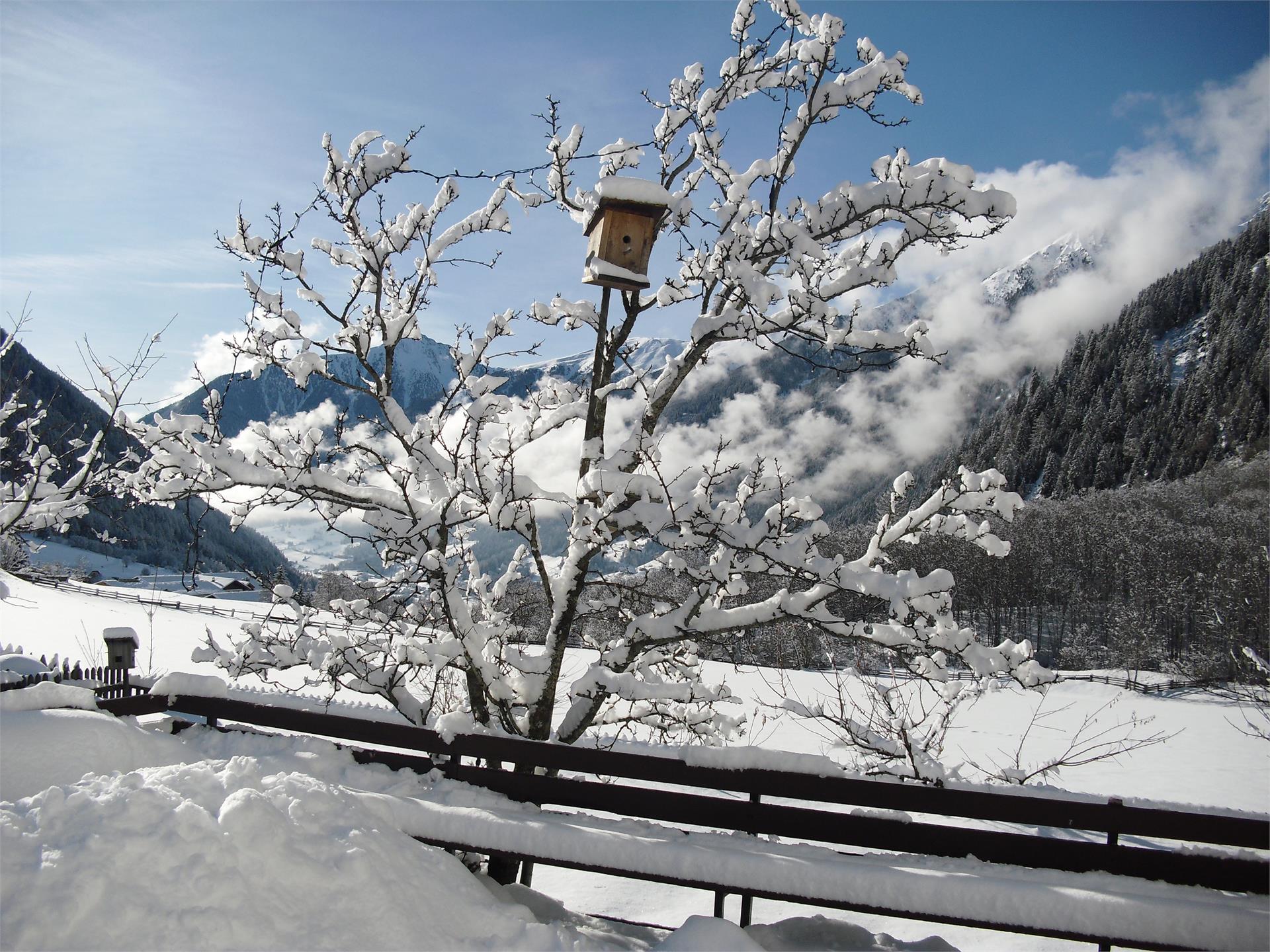 Pensione Brunner Rasun Anterselva 7 suedtirol.info