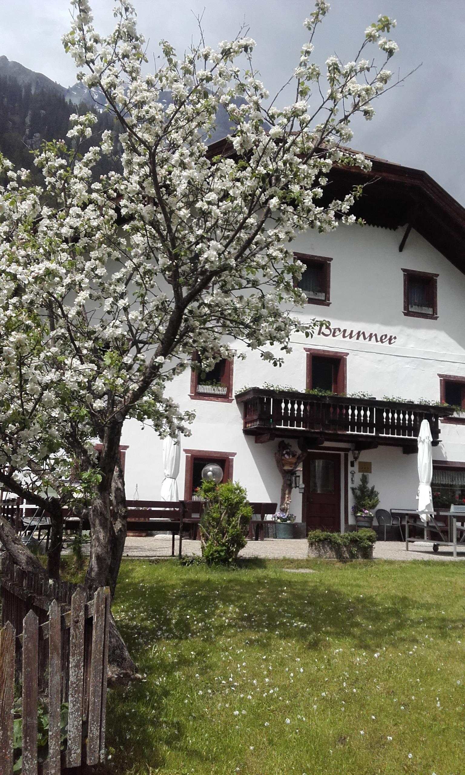 Pensione Brunner Rasun Anterselva 13 suedtirol.info