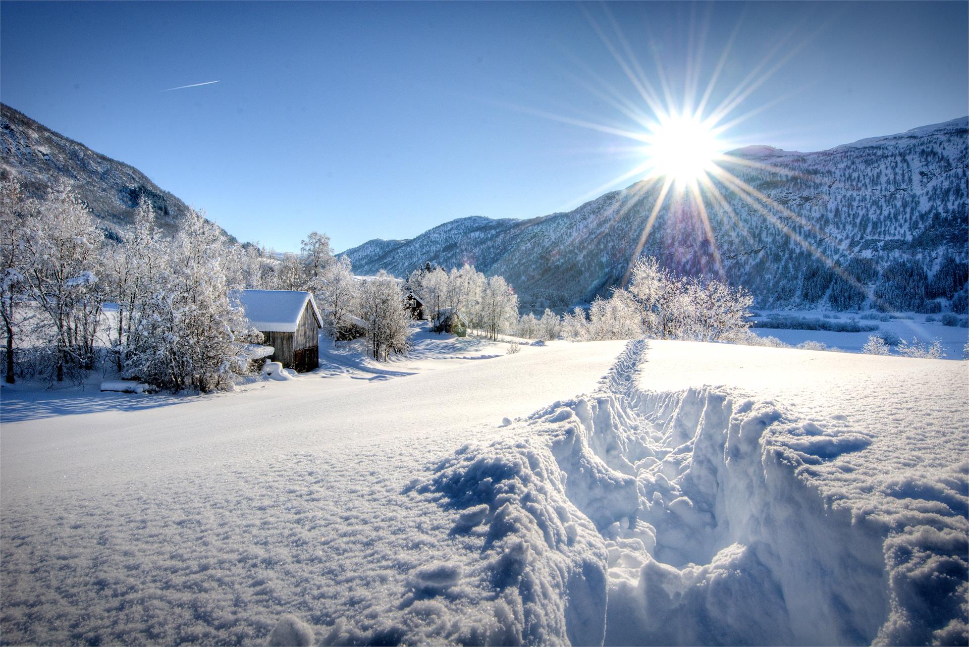Pensione Brunner Rasun Anterselva 5 suedtirol.info