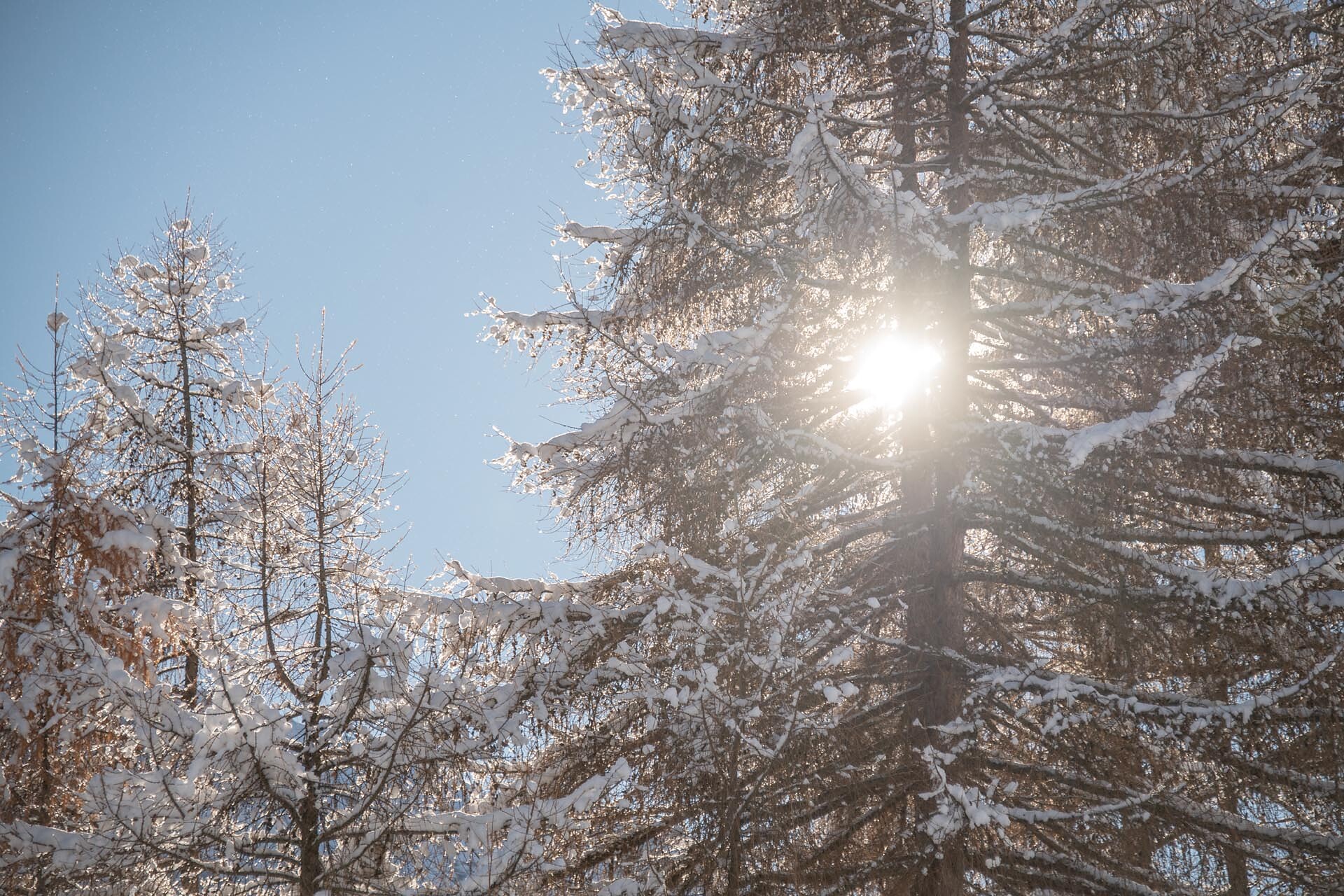 Pensione Brunner Rasun Anterselva 10 suedtirol.info