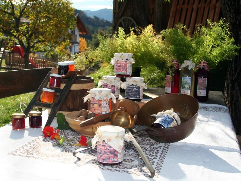 Maso Pardellerhof Völs am Schlern/Fiè allo Sciliar 12 suedtirol.info
