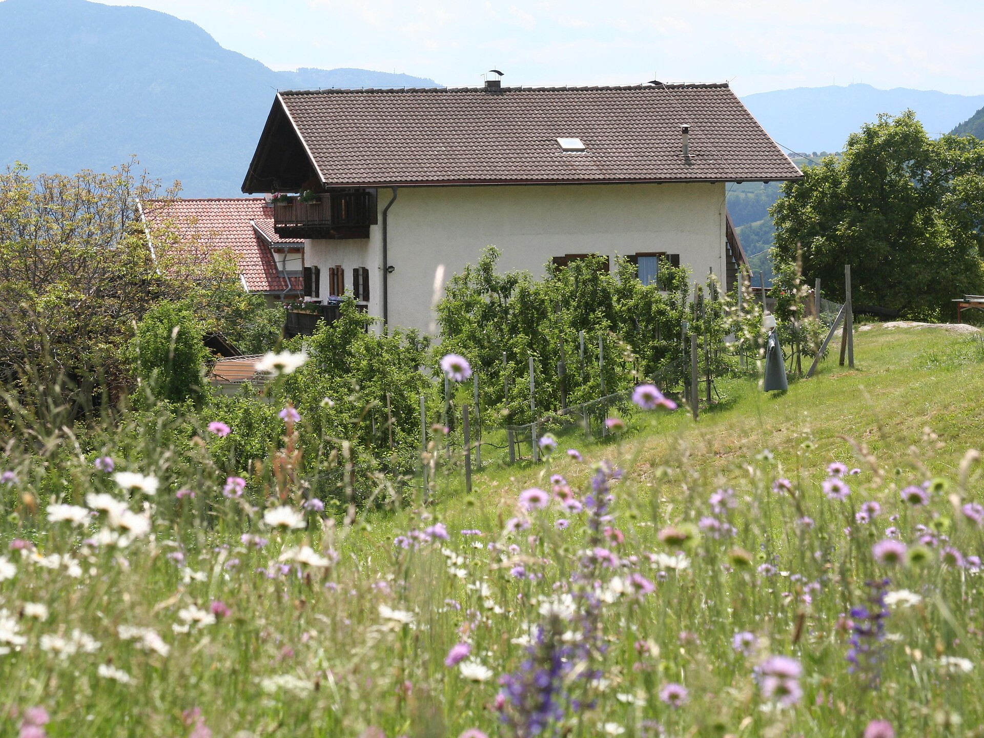 Pardellerhof