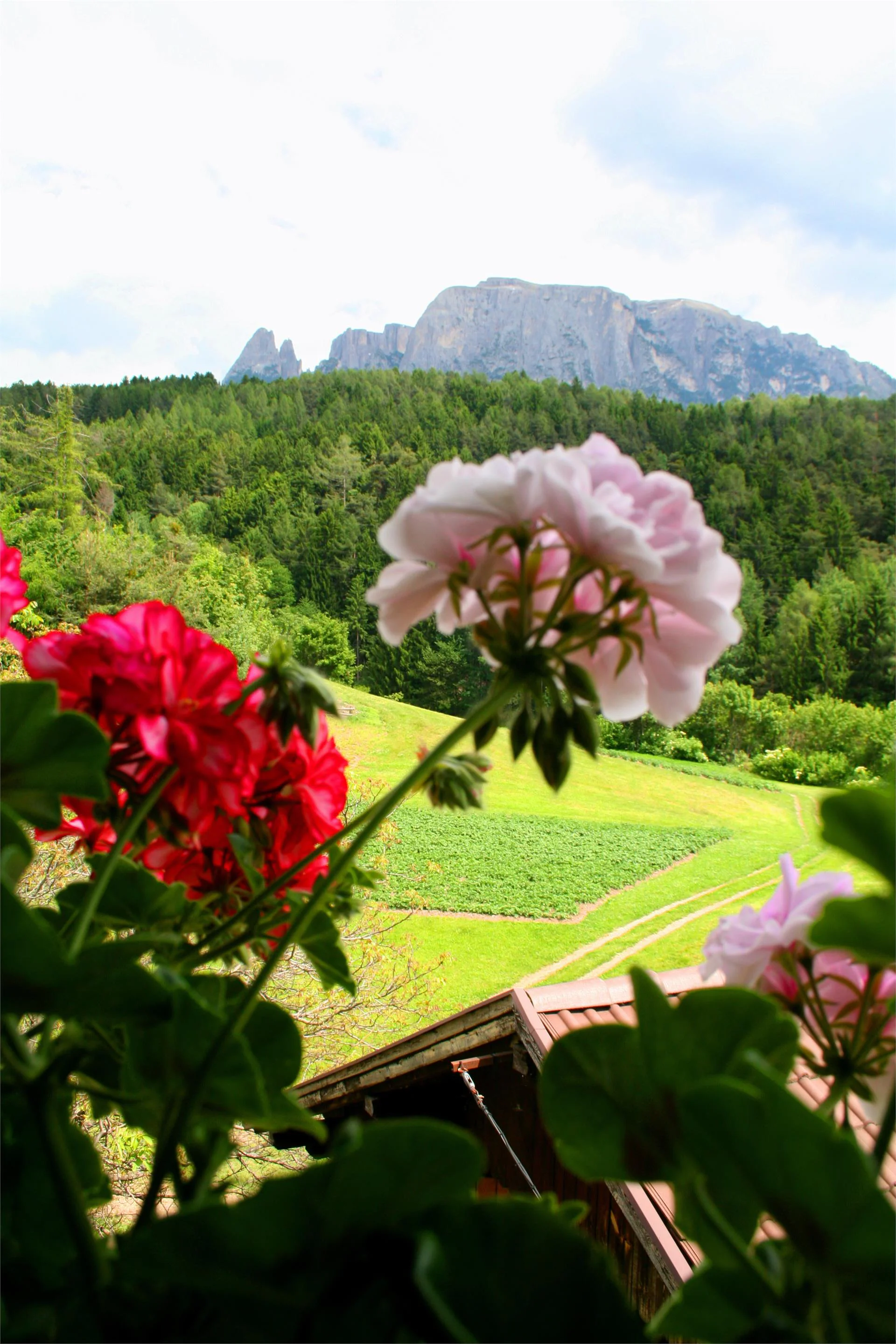 Maso Pardellerhof Völs am Schlern/Fiè allo Sciliar 5 suedtirol.info