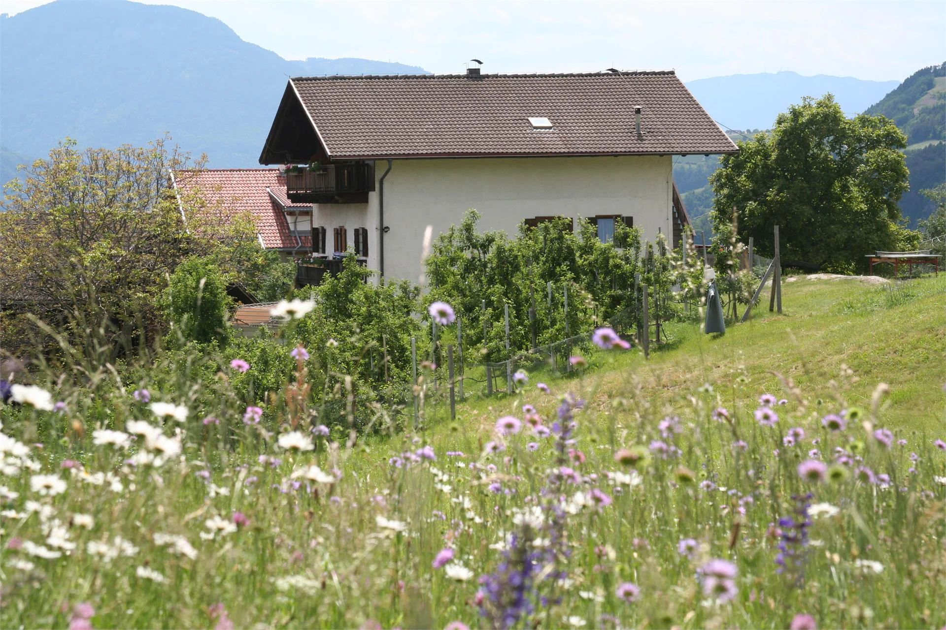 Maso Pardellerhof Völs am Schlern/Fiè allo Sciliar 2 suedtirol.info