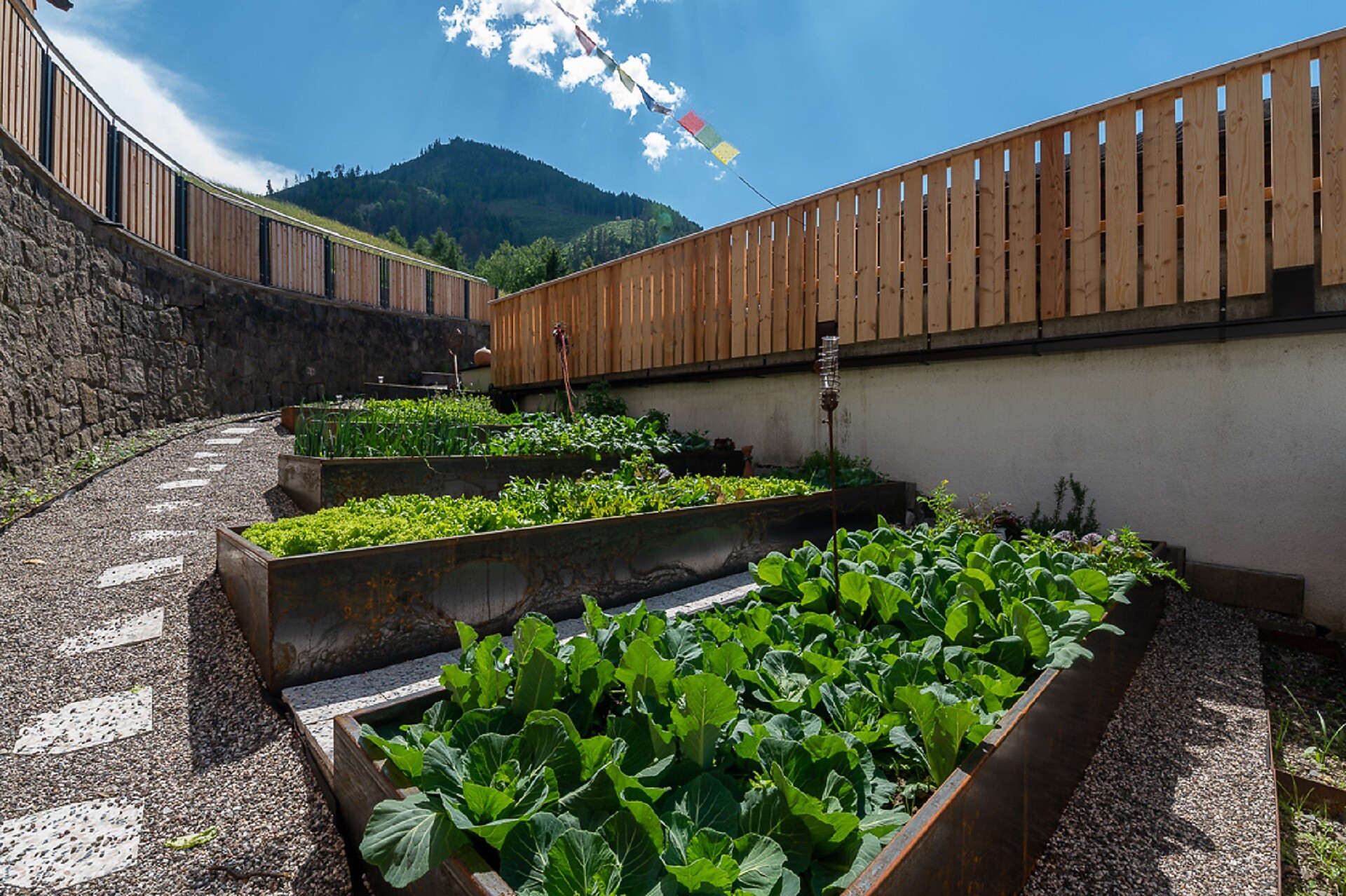 Our garden