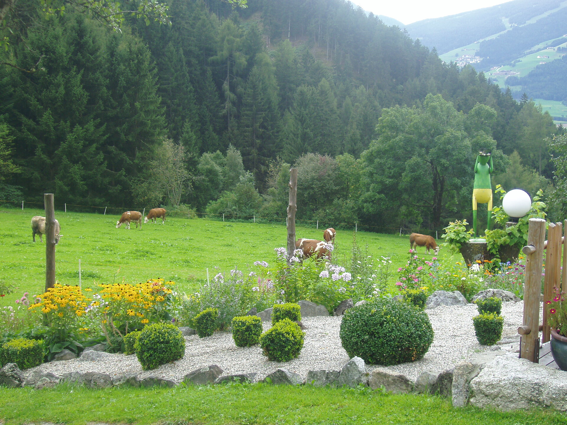 Giardino