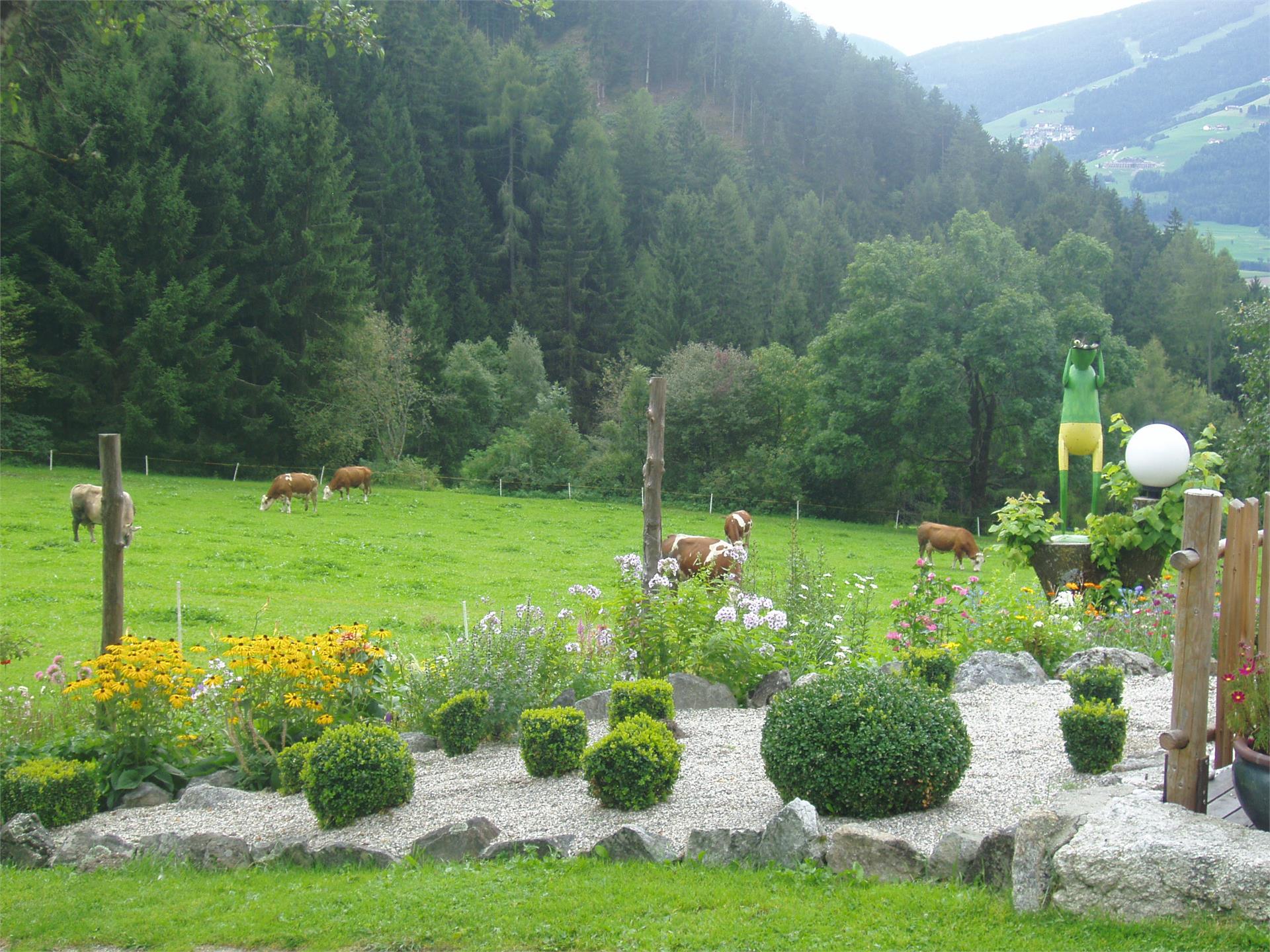 Pension Oberstallerhof Rasen-Antholz/Rasun Anterselva 24 suedtirol.info