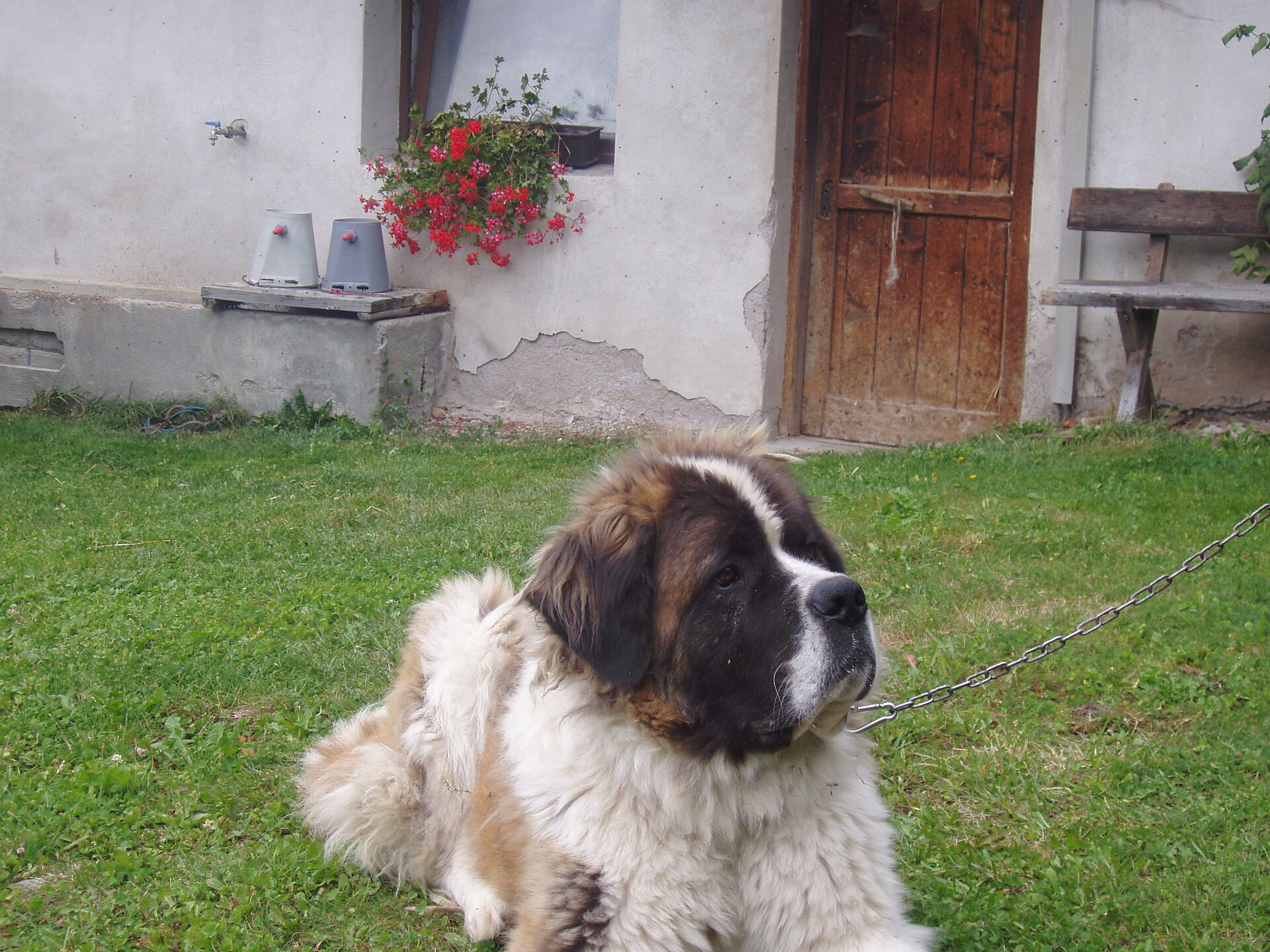 Ballu