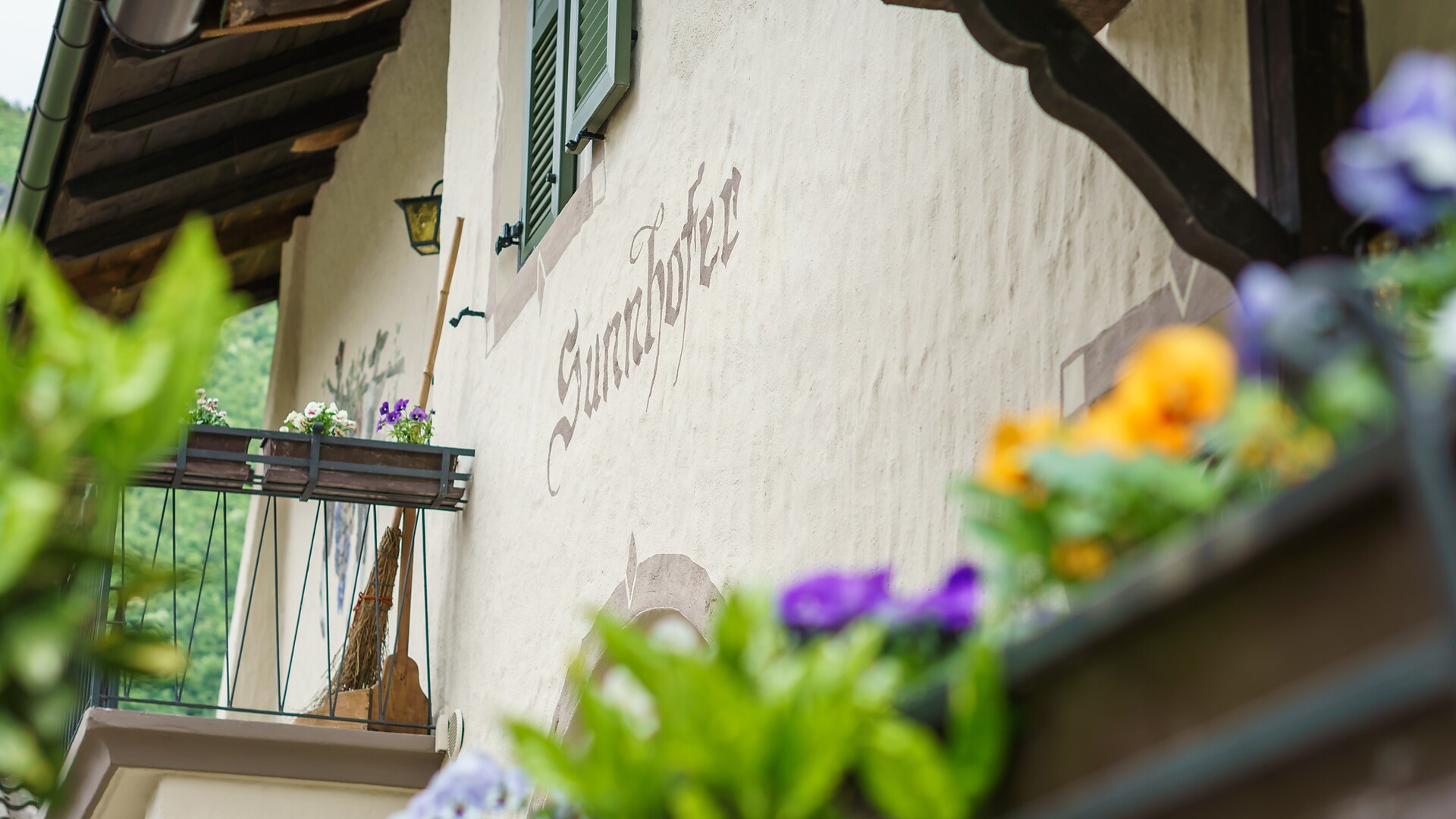 Pension Sunnhofer Terlan 4 suedtirol.info