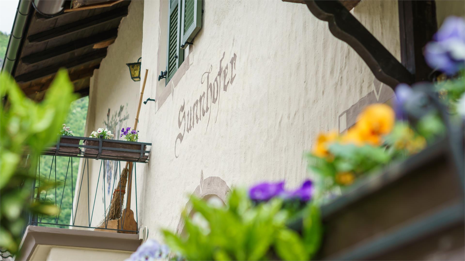 Pension Sunnhofer Terlan/Terlano 4 suedtirol.info