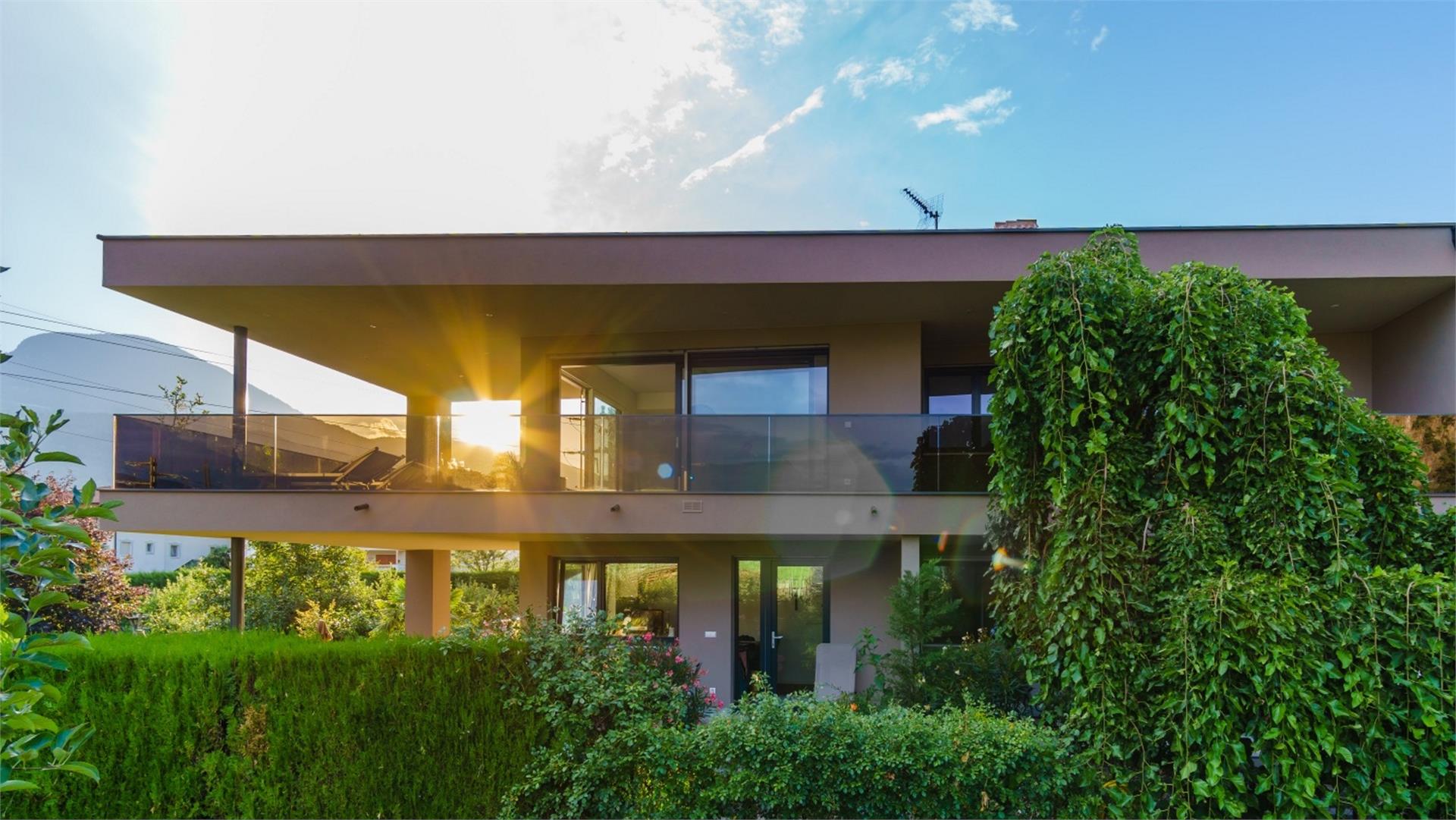Pension Sunnhofer Terlan/Terlano 2 suedtirol.info