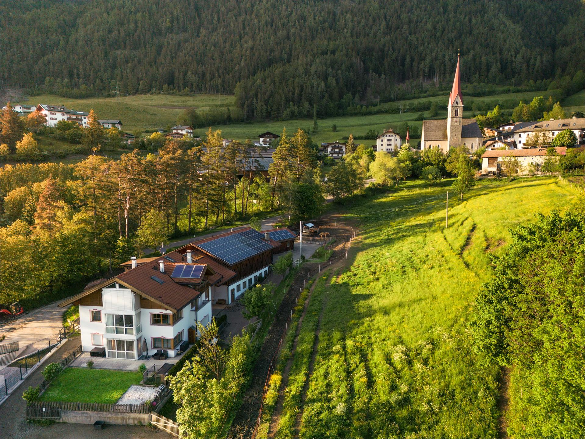 Posthof Freienfeld/Campo di Trens 1 suedtirol.info