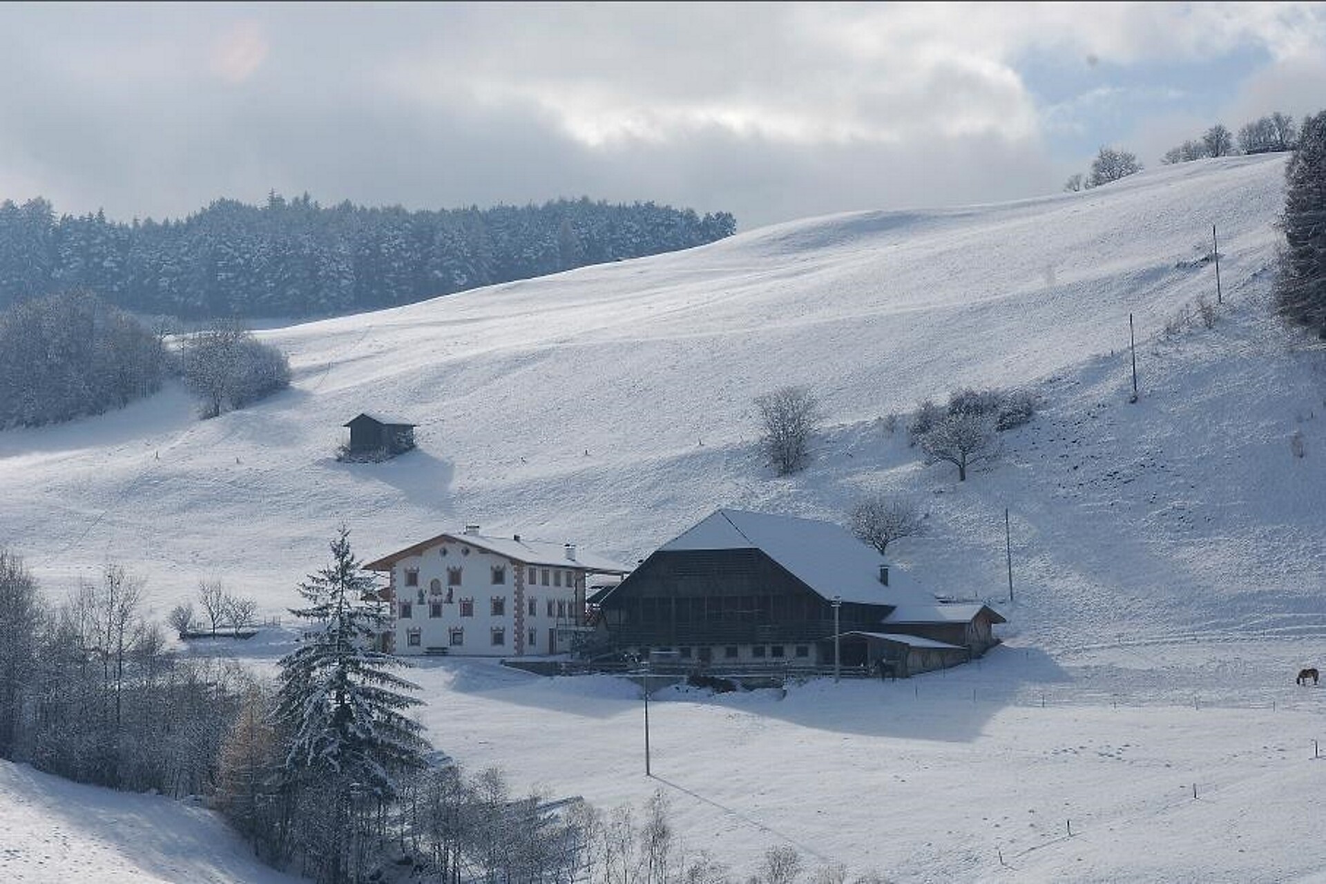 Prosslinerhof