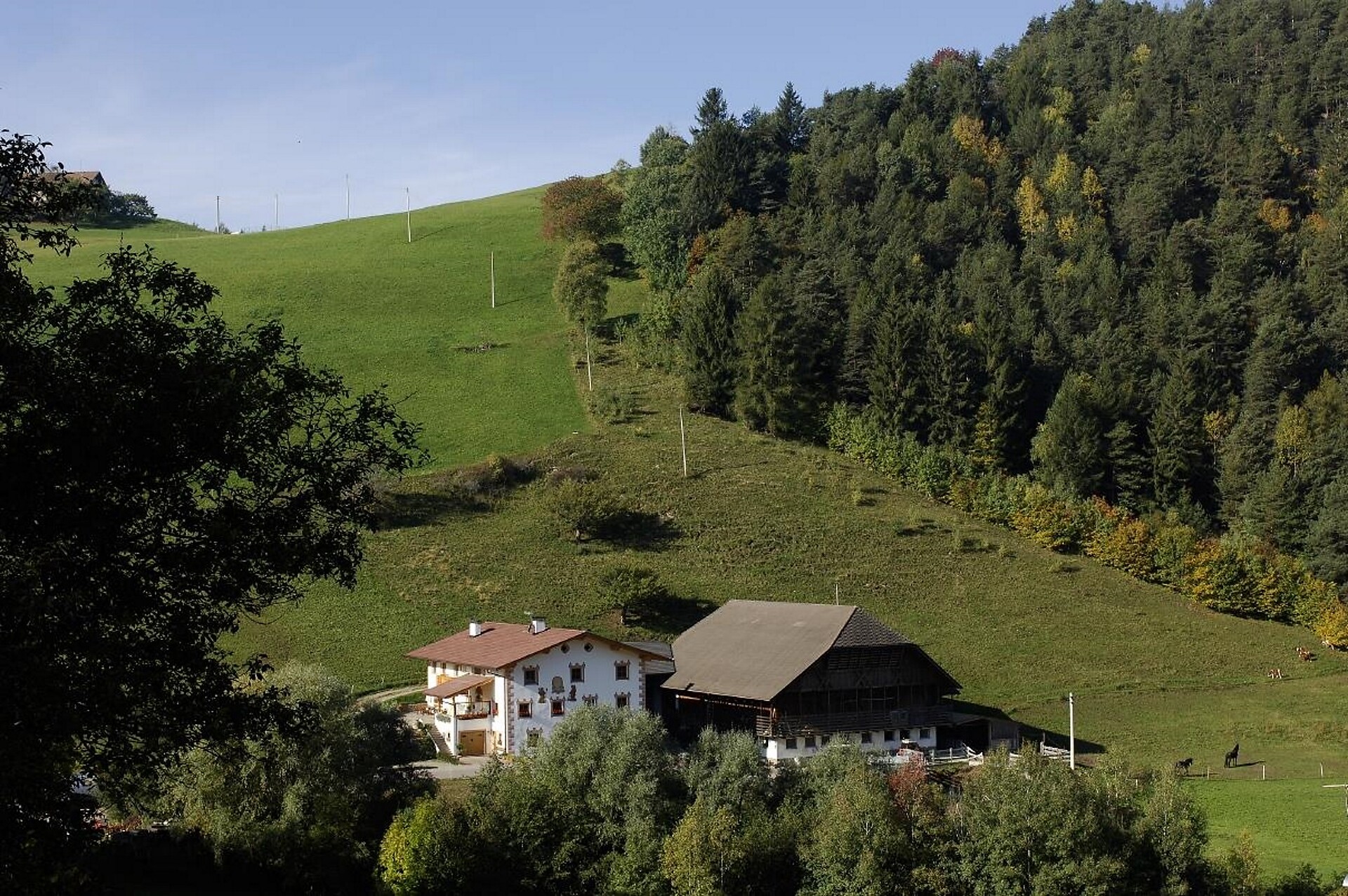Prosslinerhof