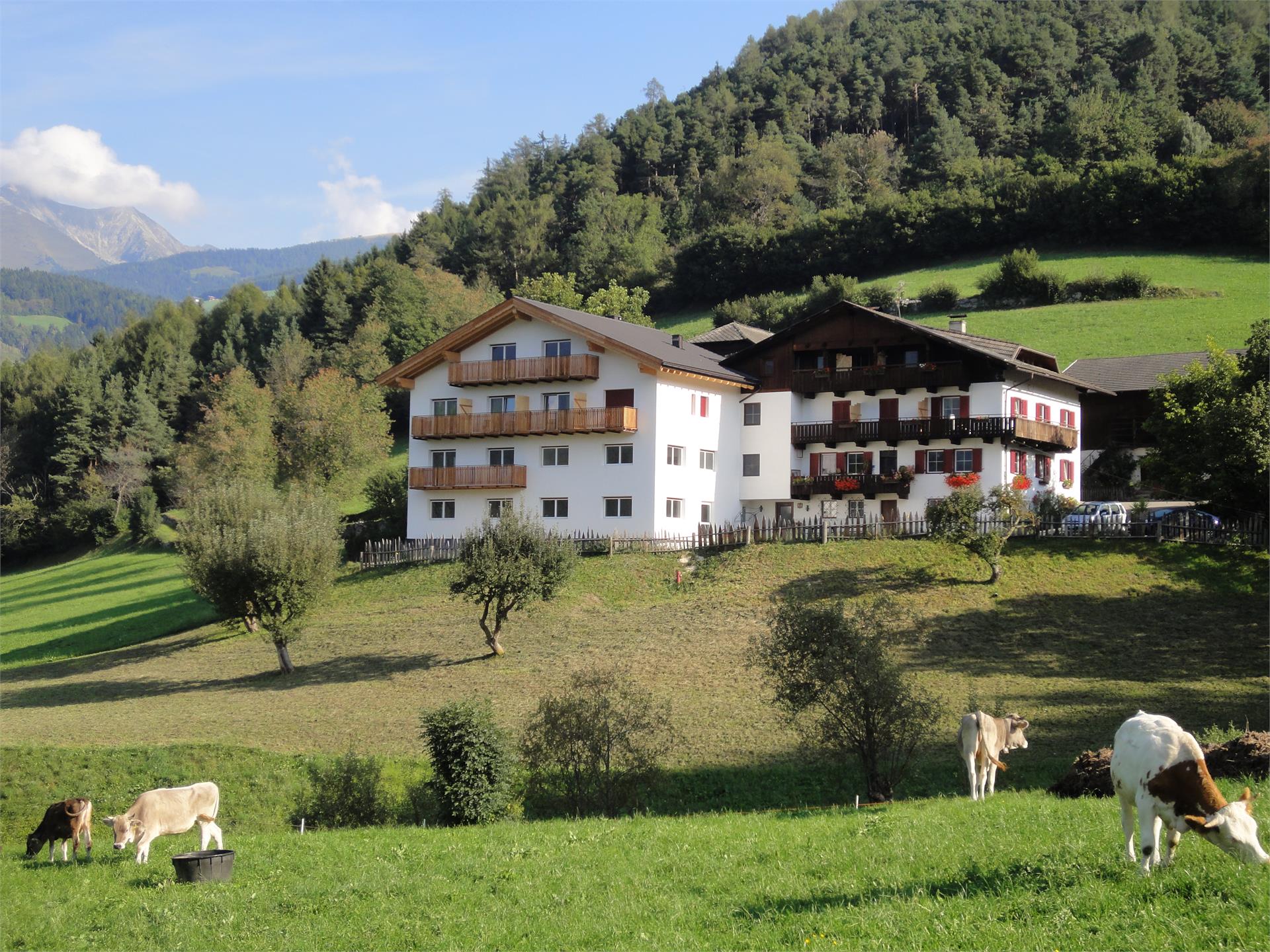Pensione Steigerhof Rodengo 1 suedtirol.info