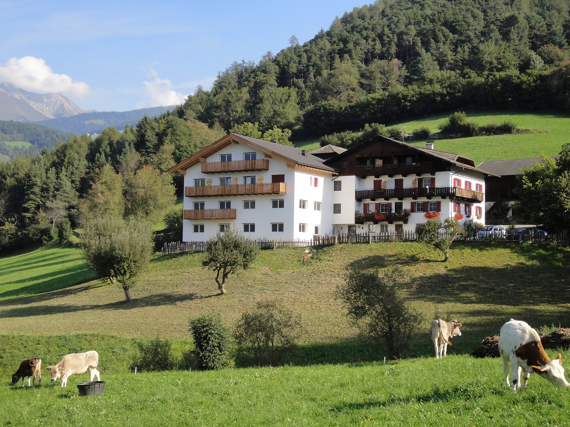 Steigerhof