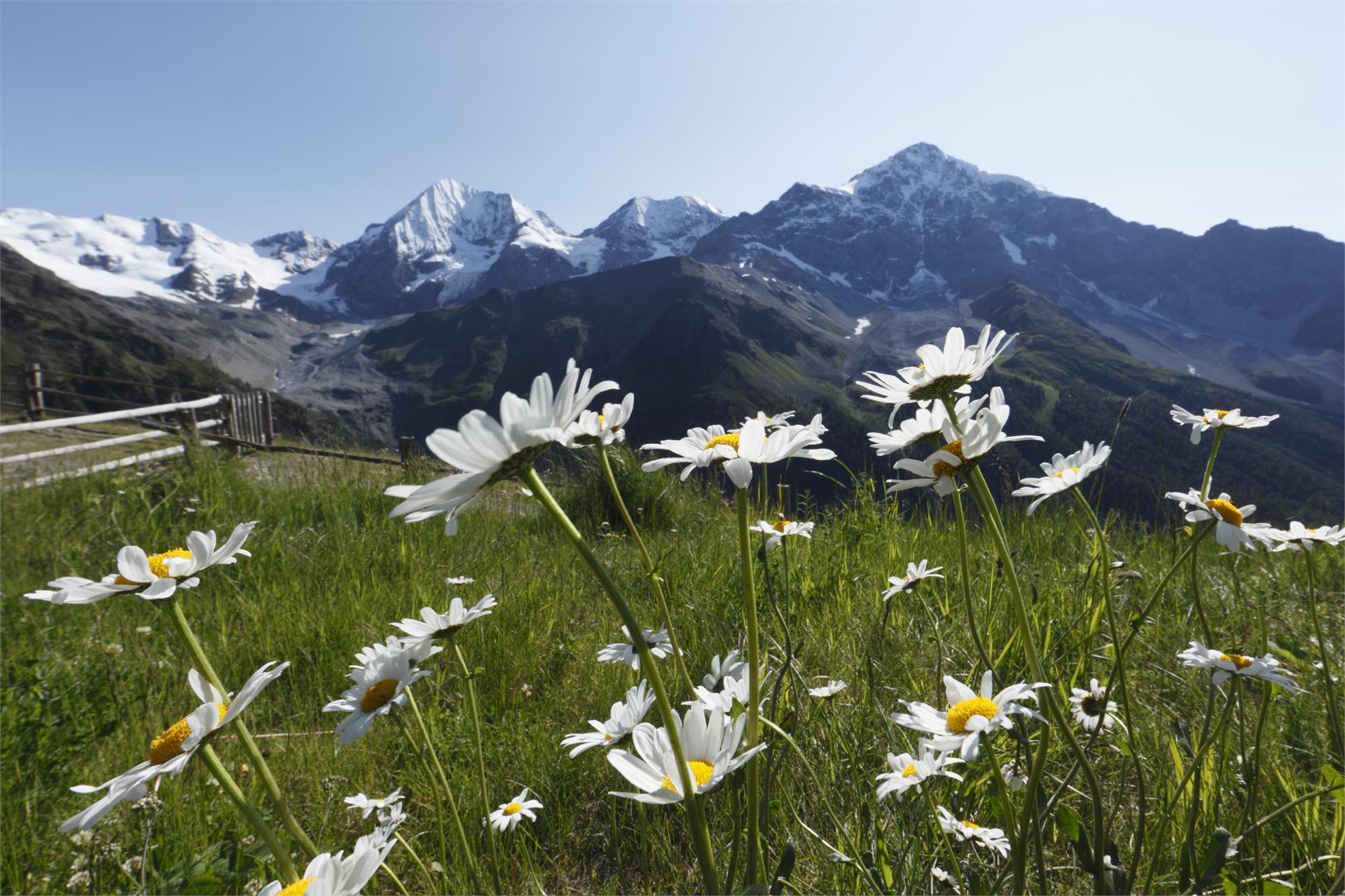 Paradies Pure Mountain Resort Stelvio 10 suedtirol.info