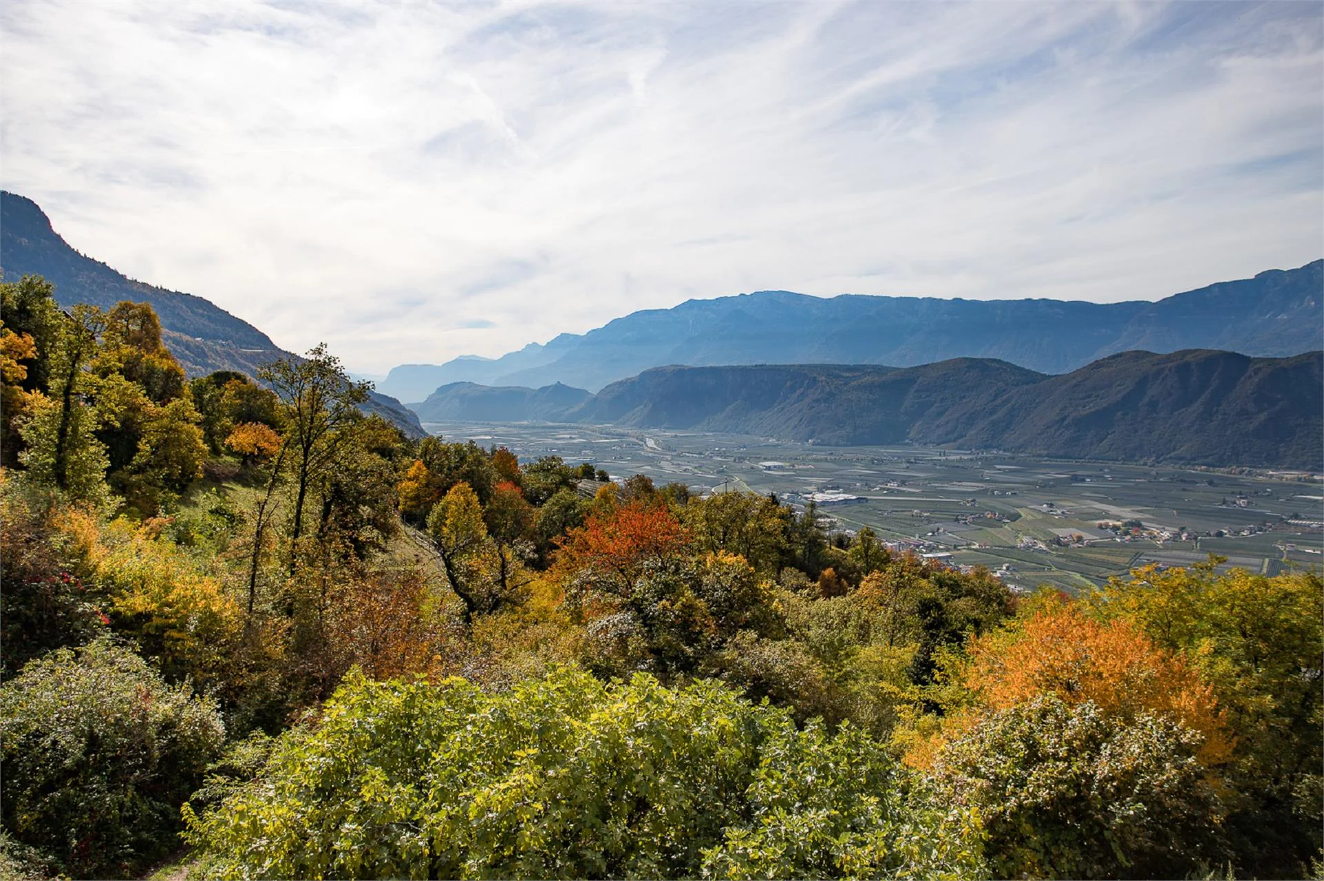Pfoeslhof Laives 2 suedtirol.info