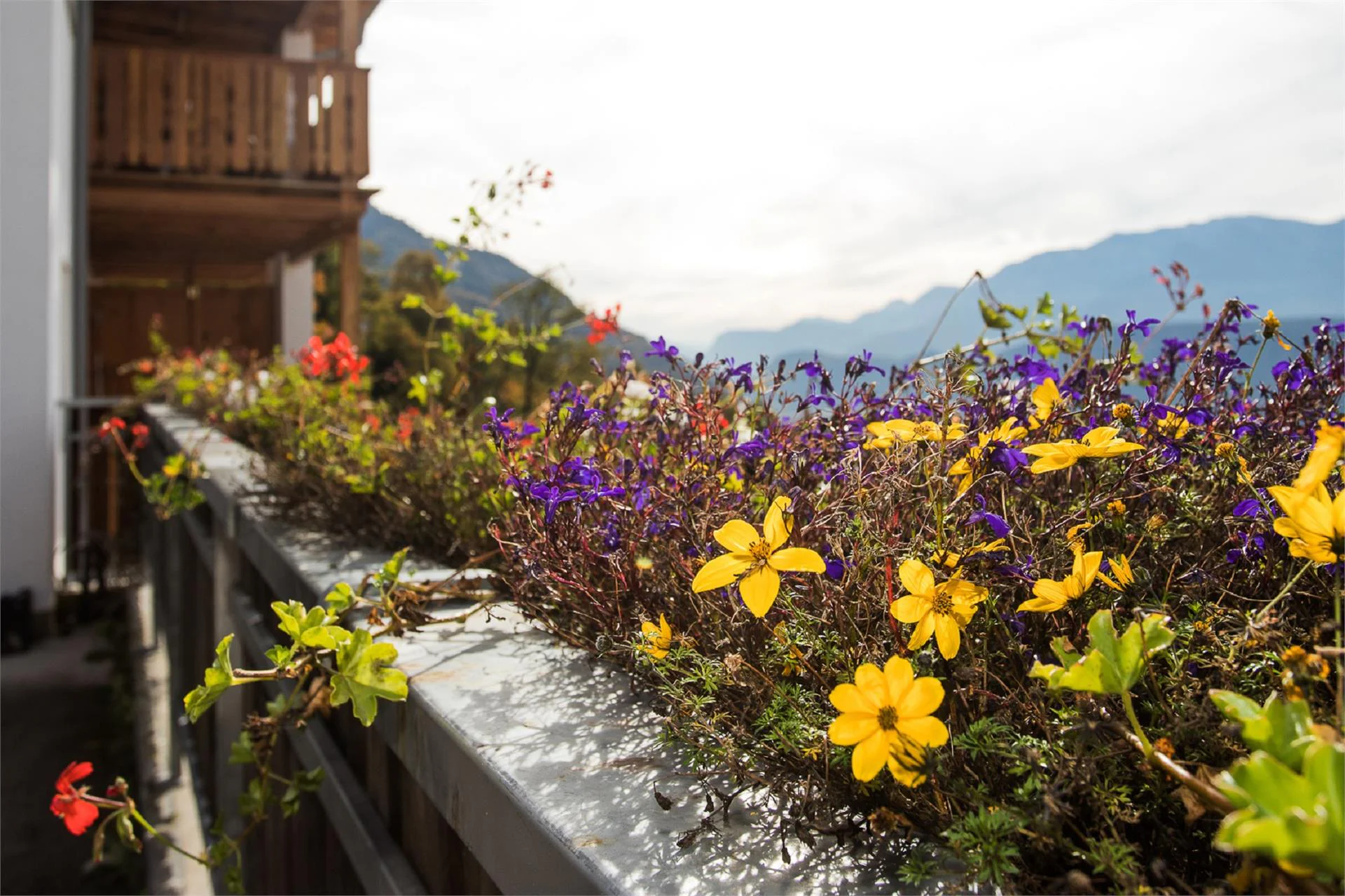 Pfoeslhof Laives 5 suedtirol.info