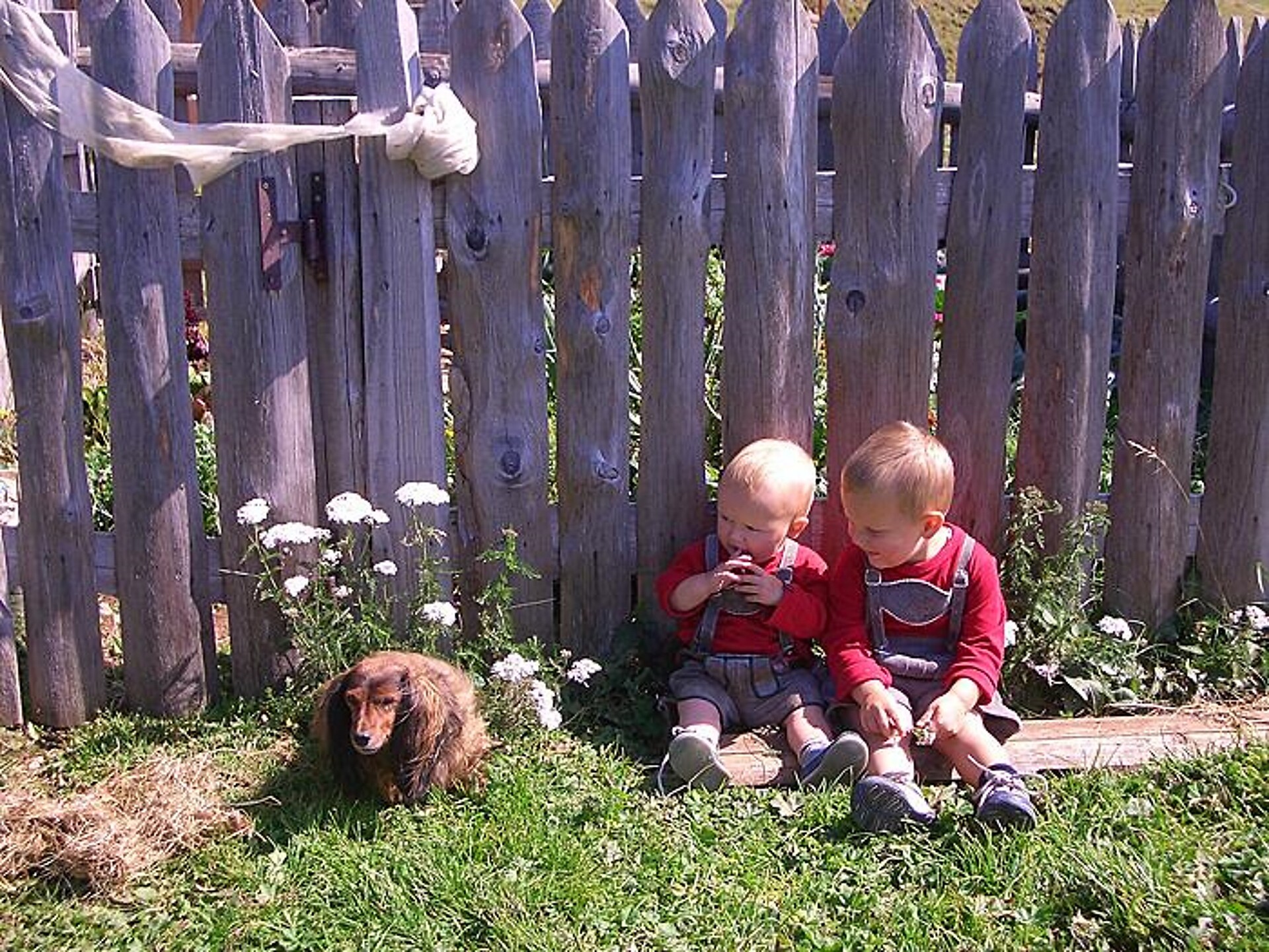 Kinder