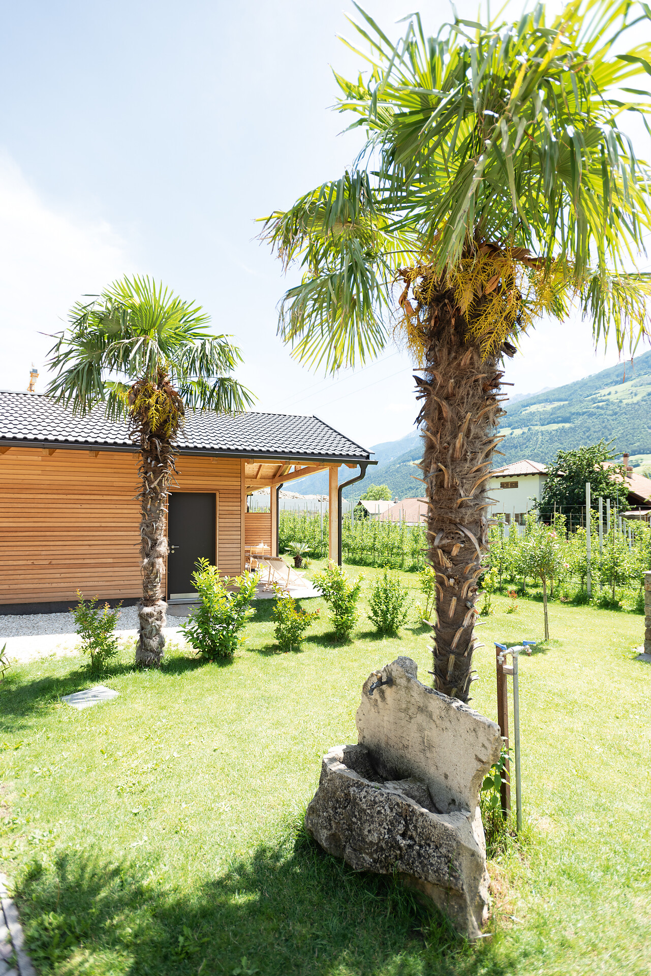 outdoor area
