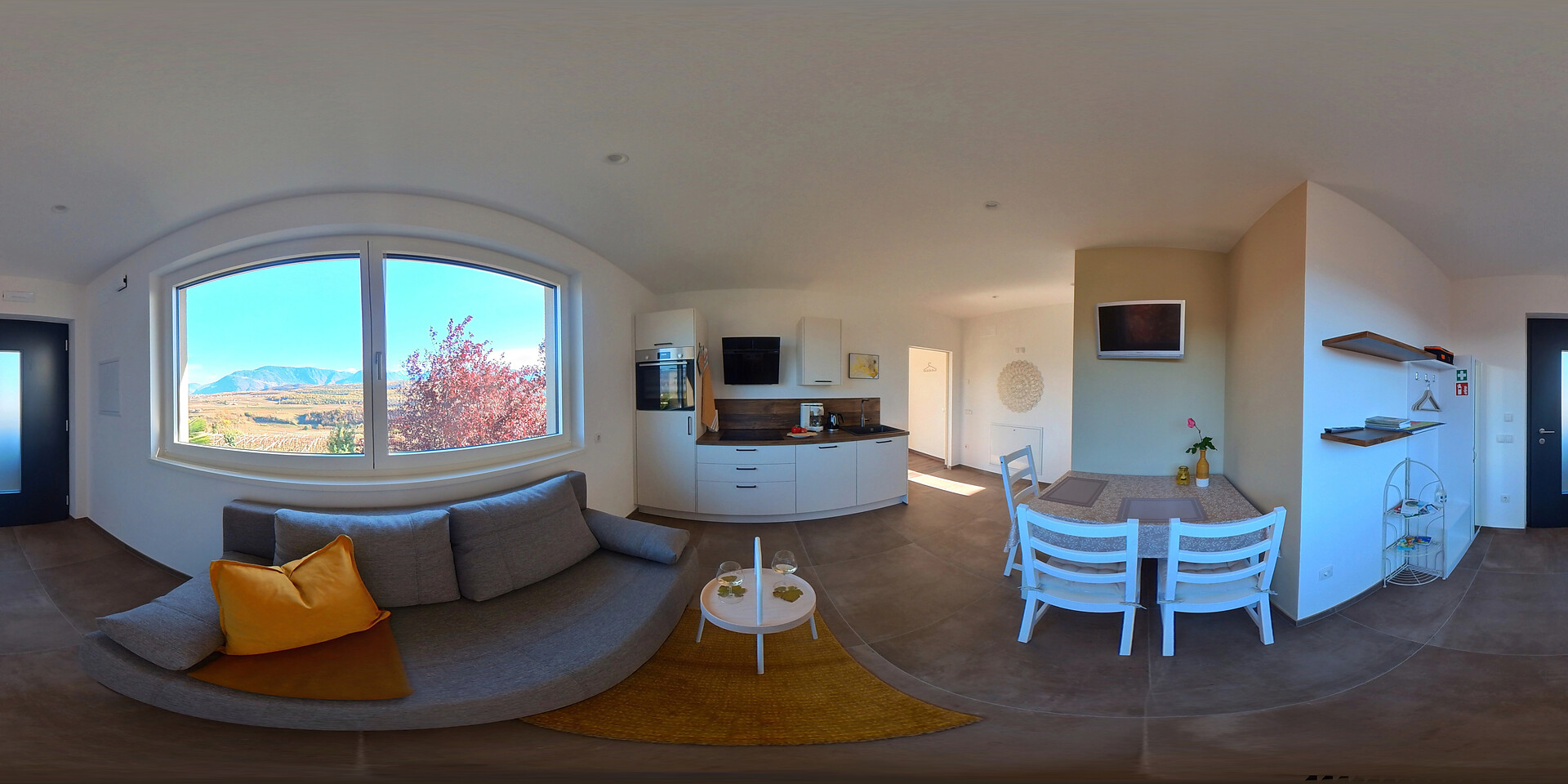 combined kitchen and living room
