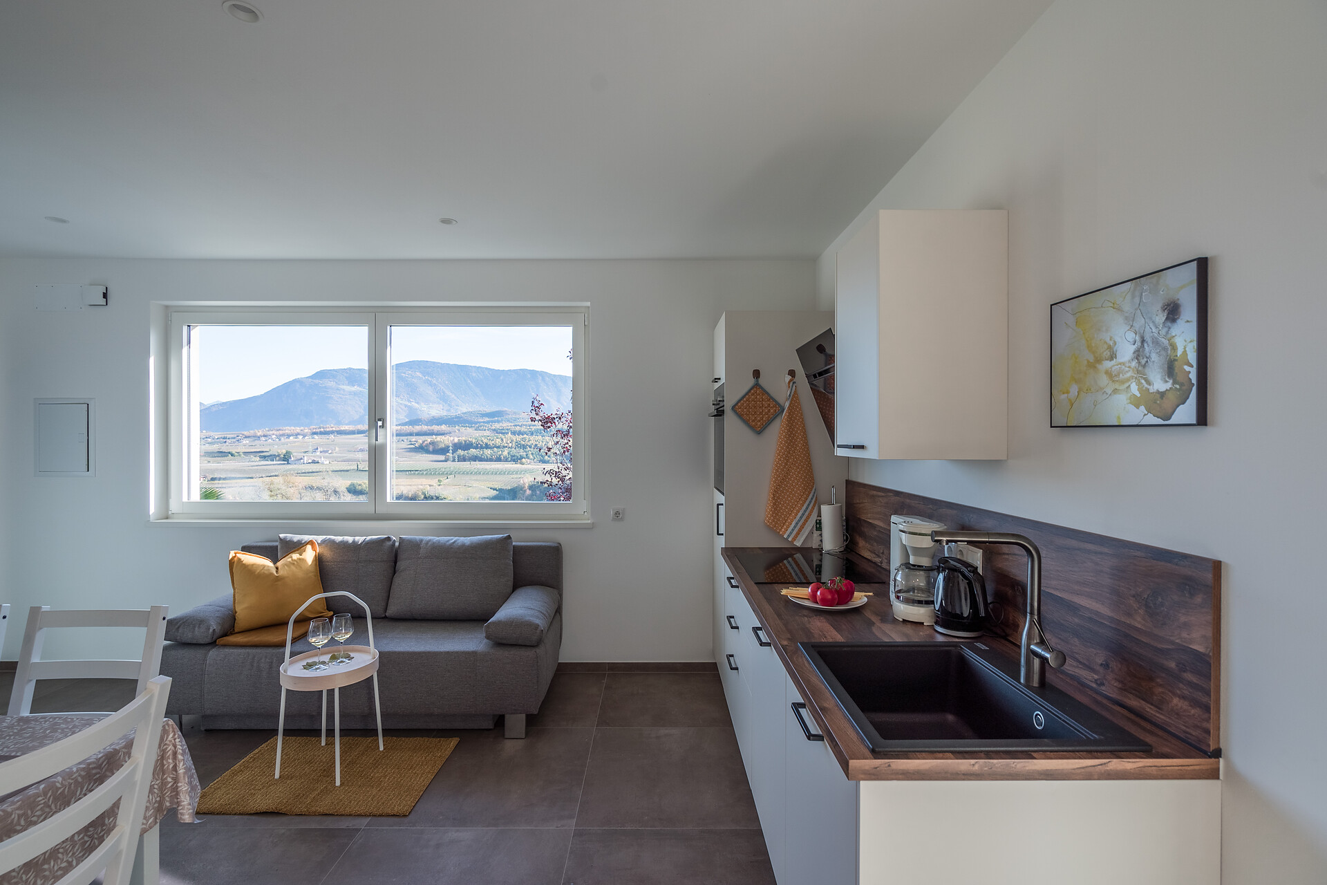 combined kitchen and living room