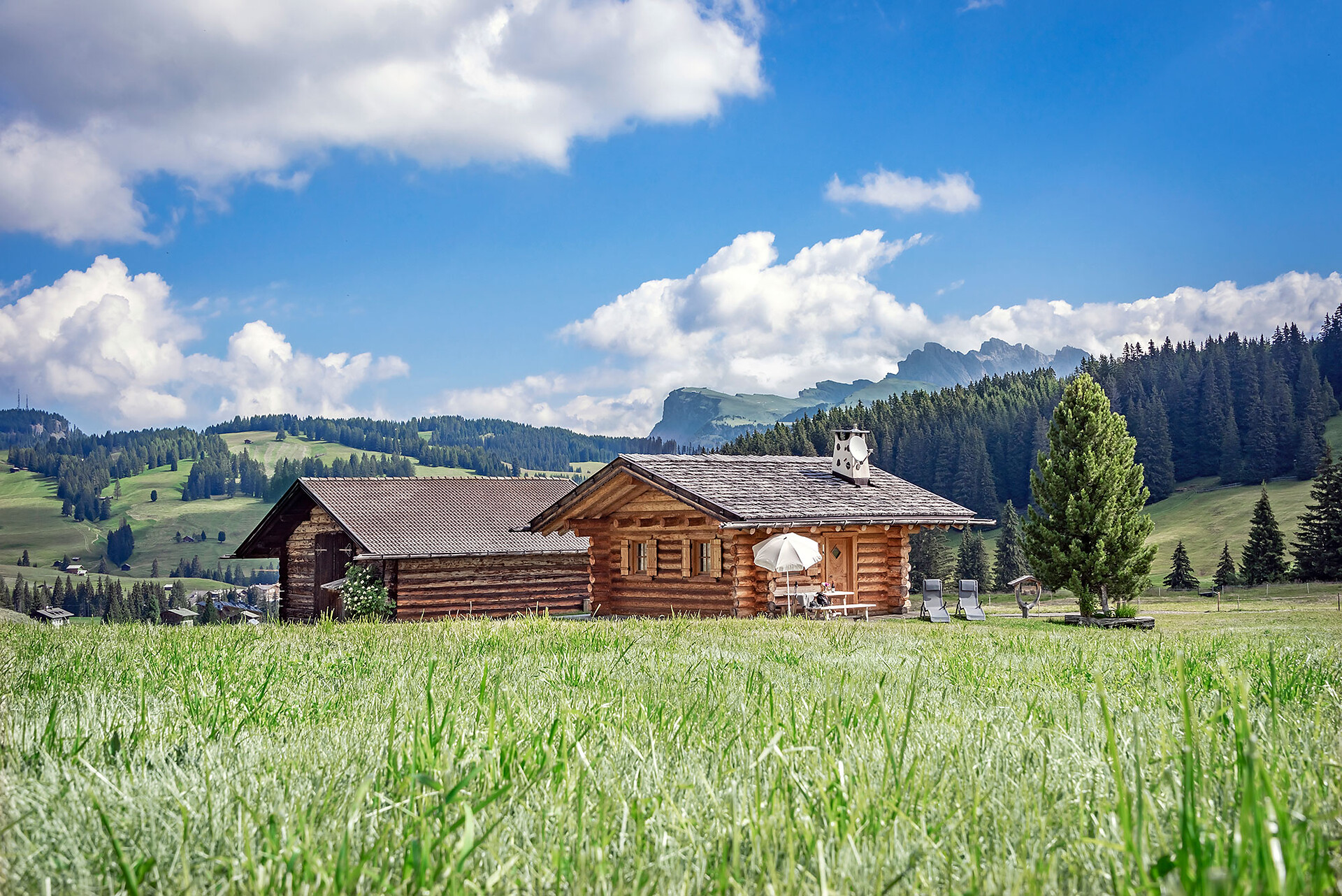 Plieger Schwaige im Sommer