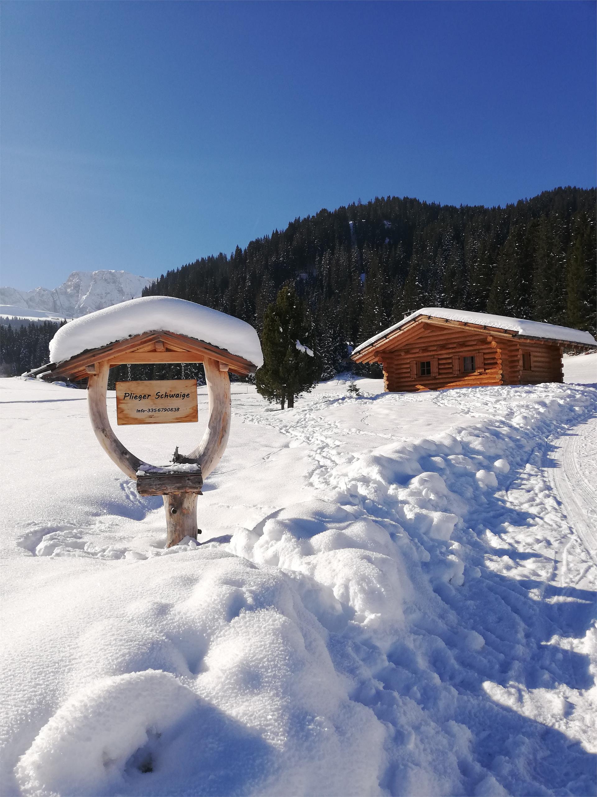 Plieger Schwaige Kastelruth 11 suedtirol.info
