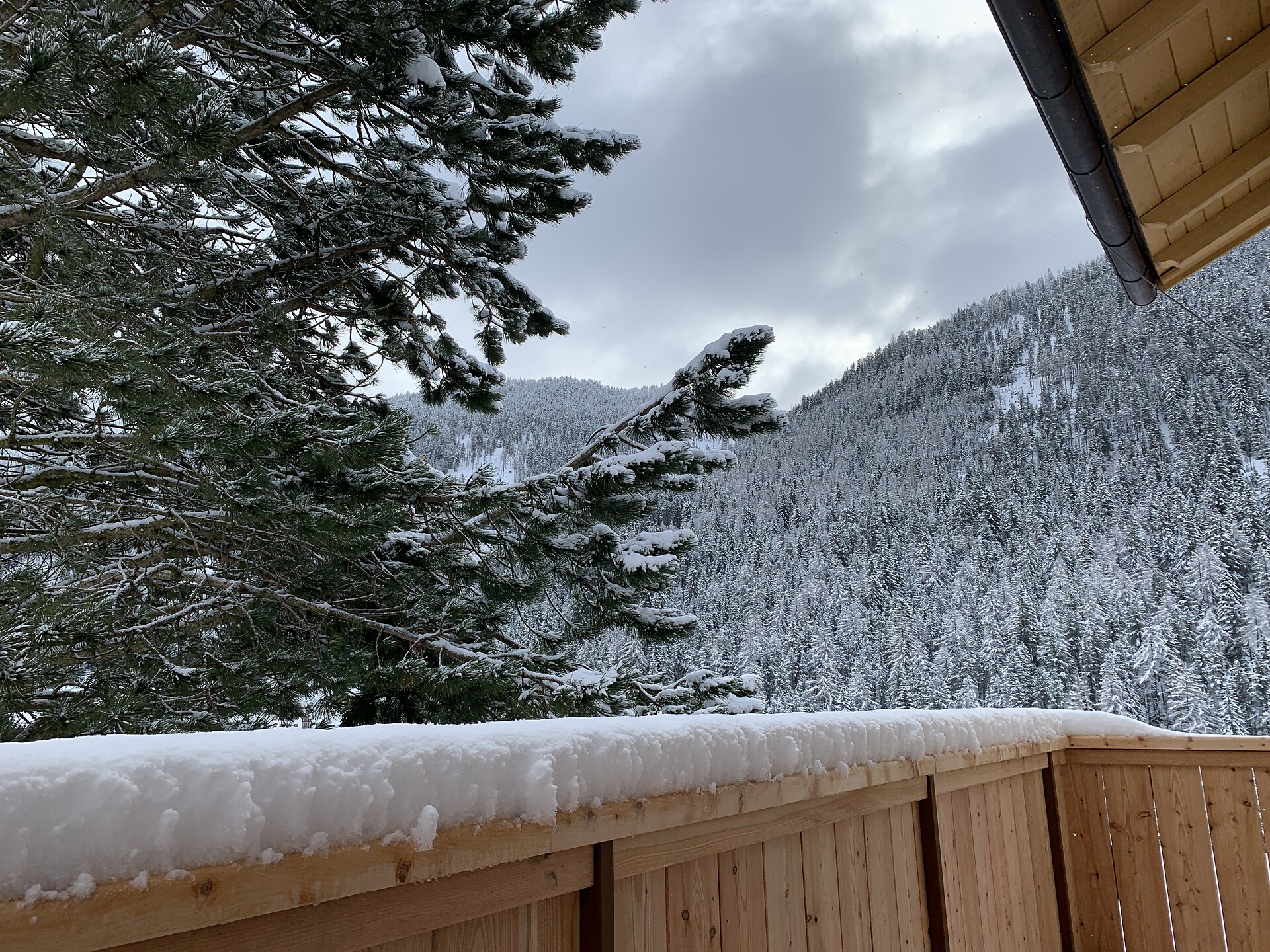 Bergblick