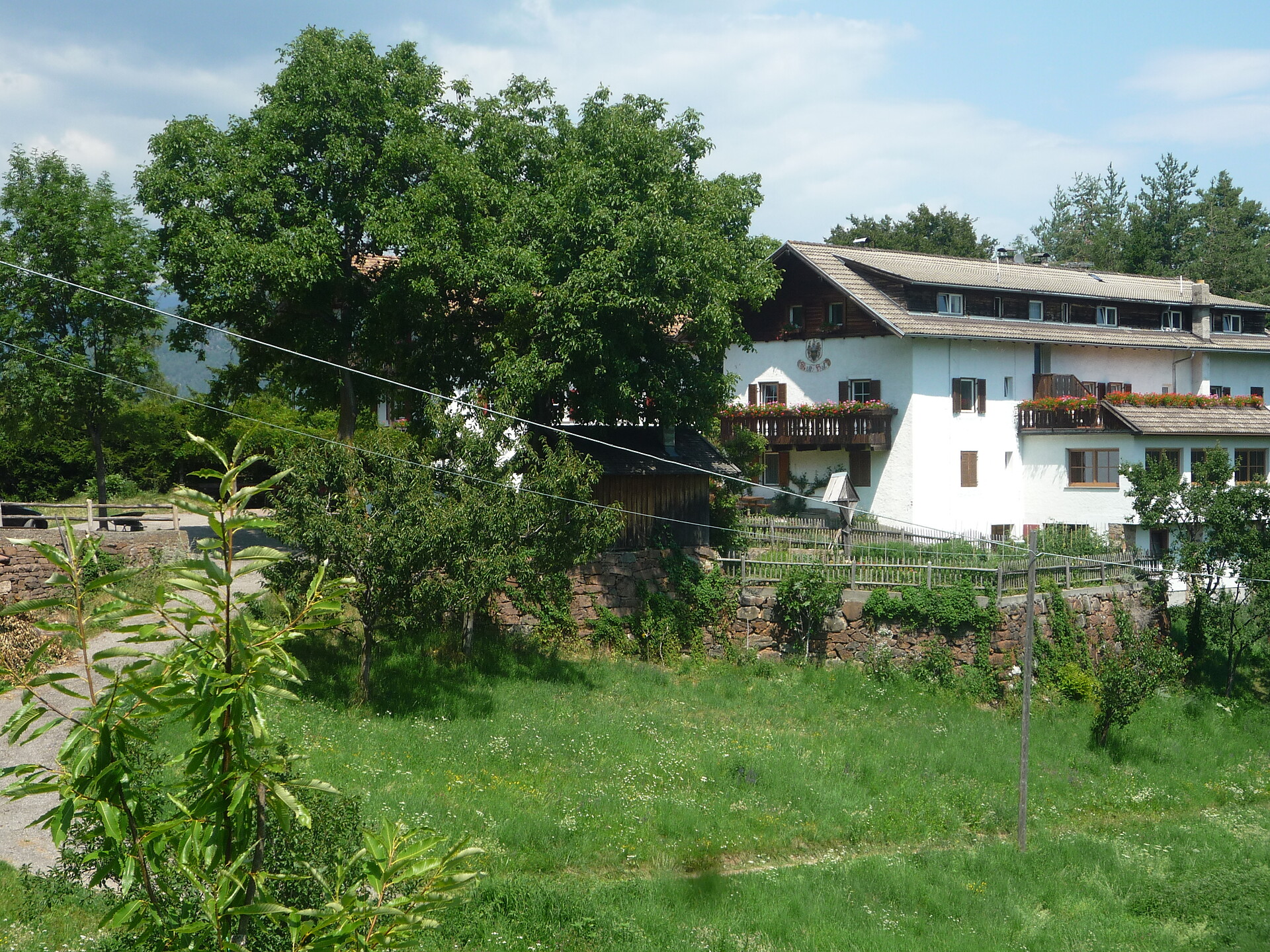PENSION RÖLLHOF Bozen 3 suedtirol.info
