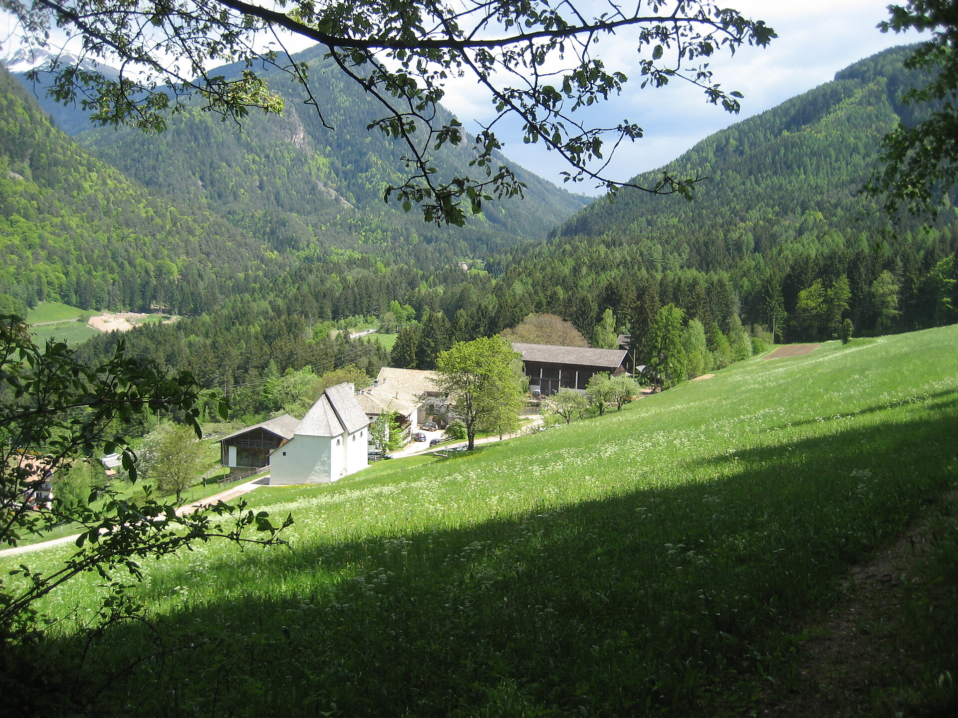 Pausa farm