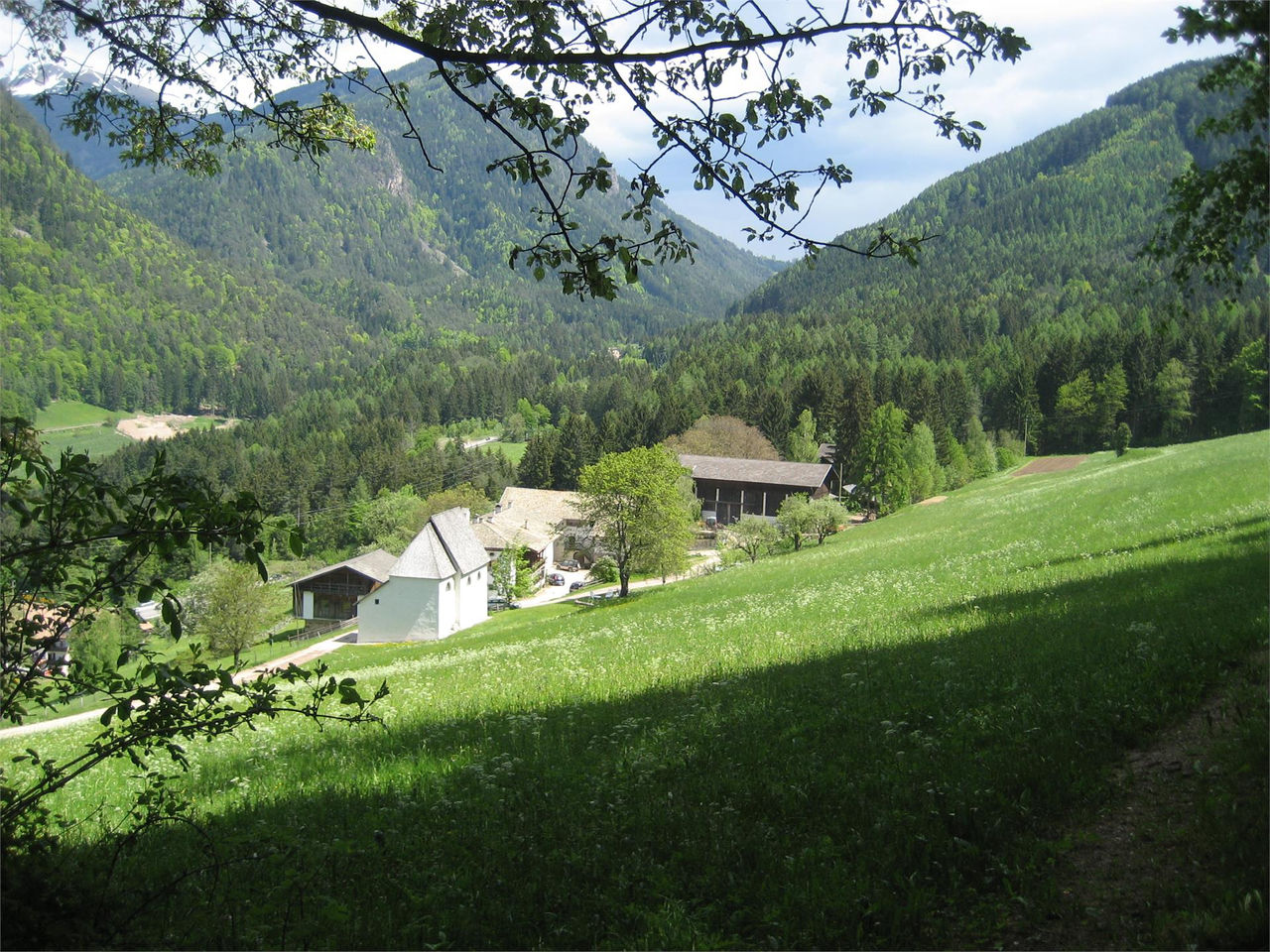 Slide 3