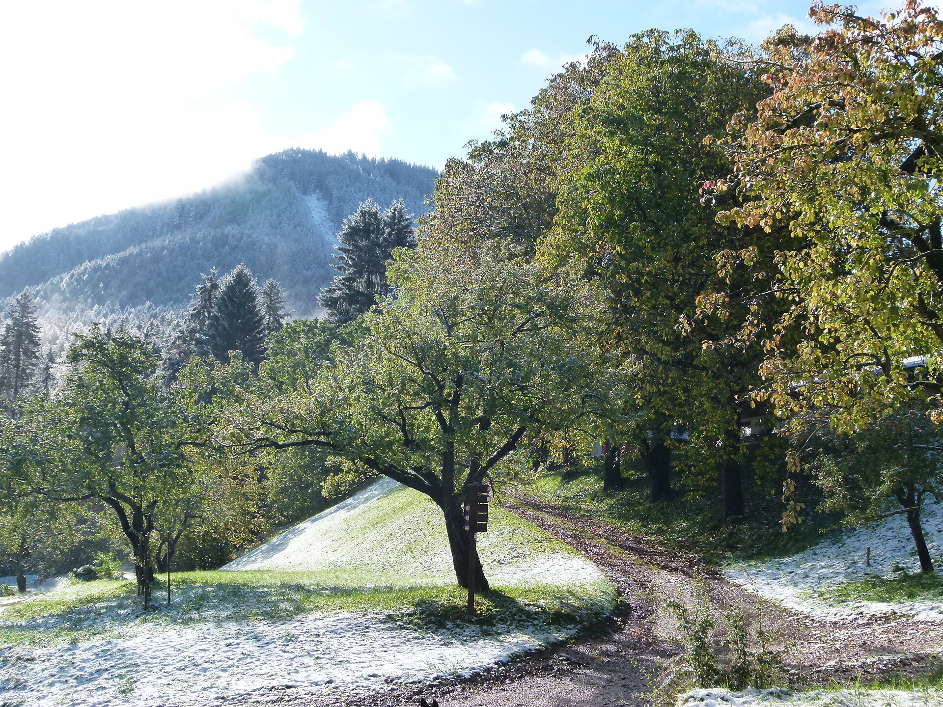 country lane
