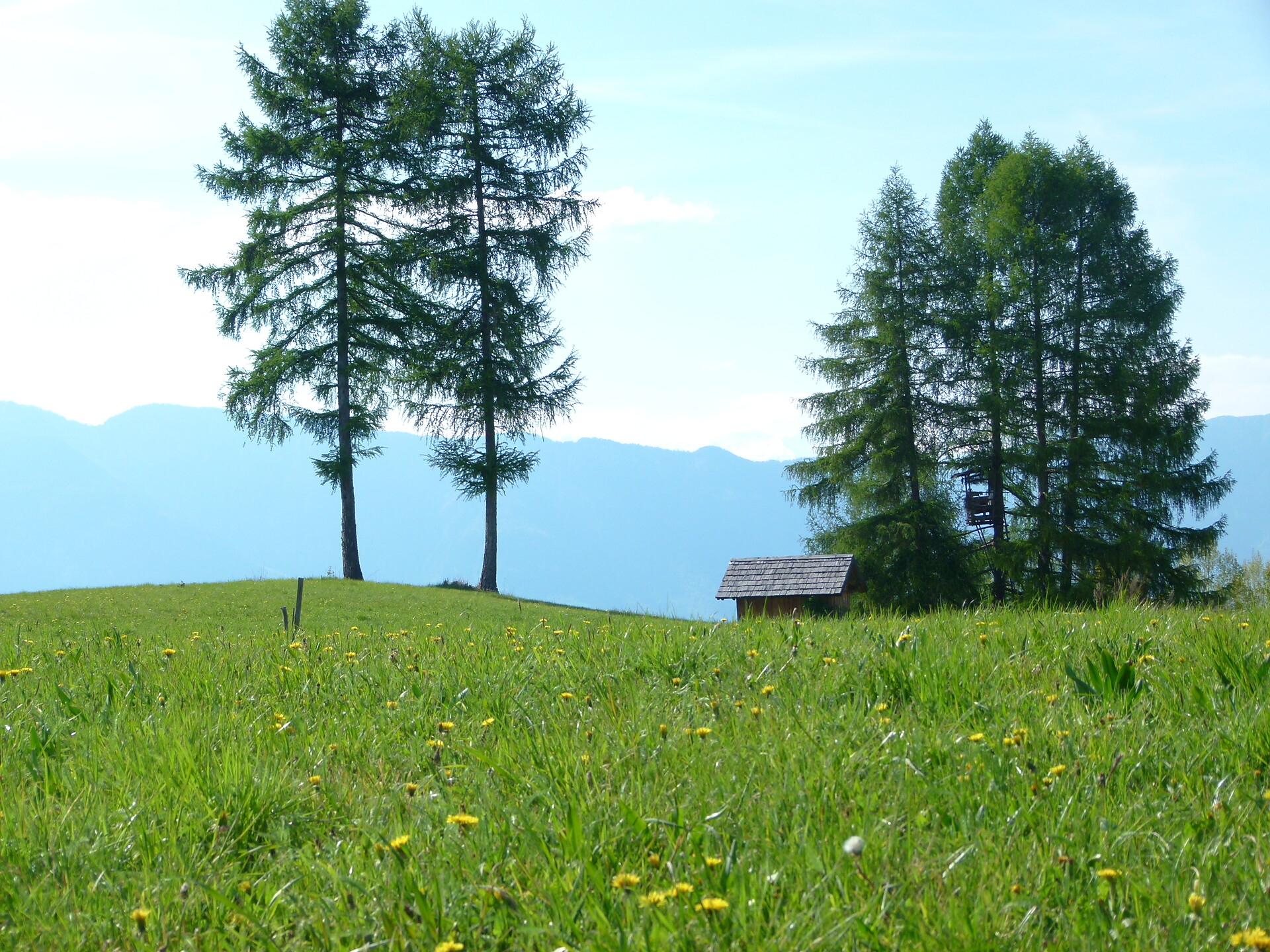 Pasture