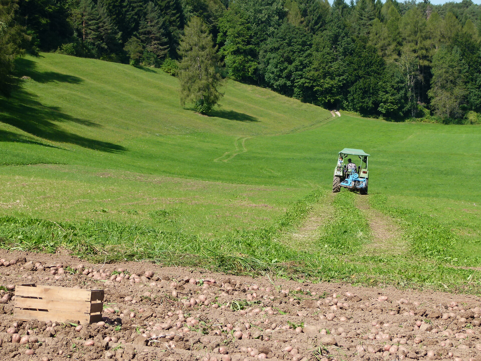 Farmer at work