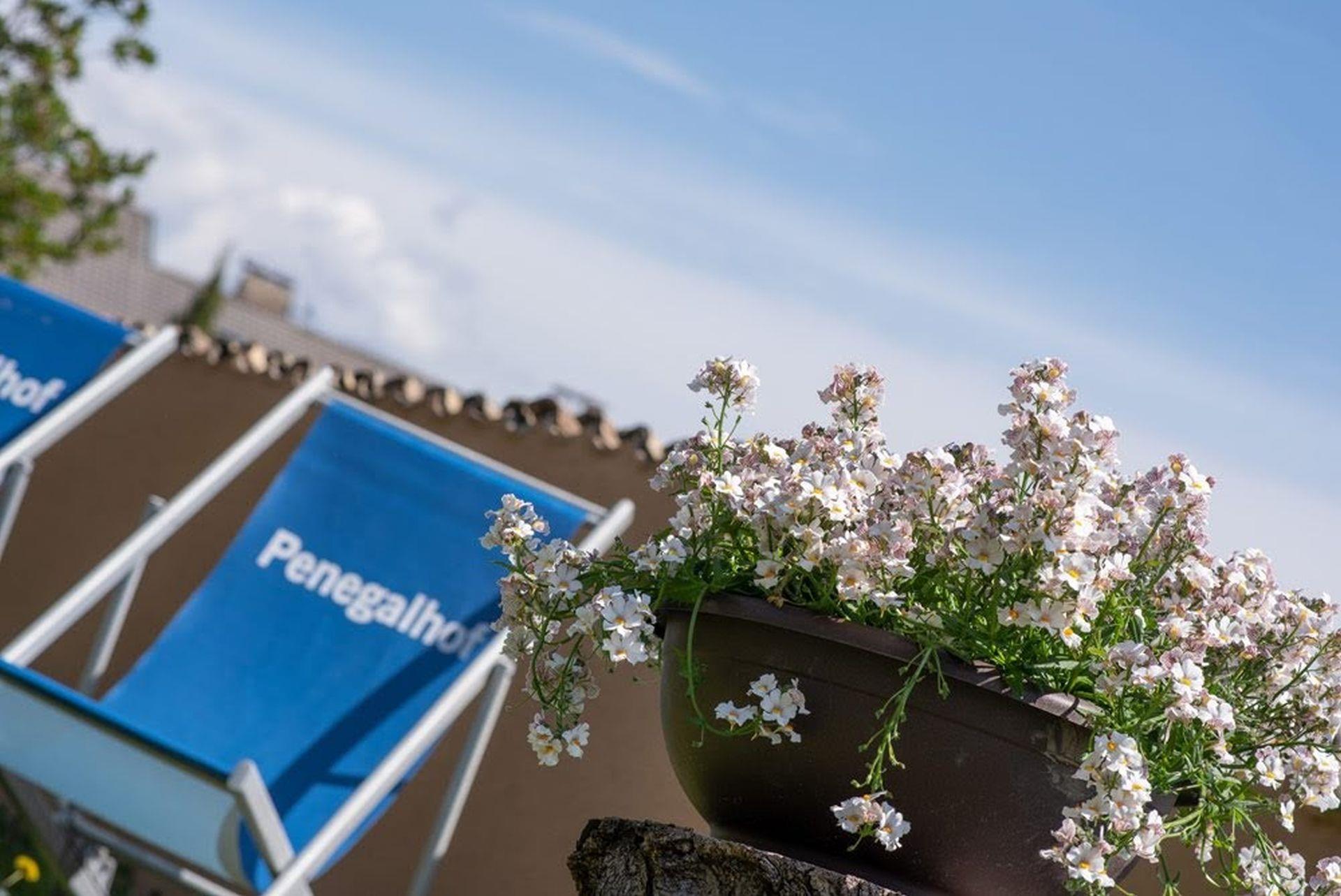 Penegalhof Kaltern an der Weinstraße 2 suedtirol.info
