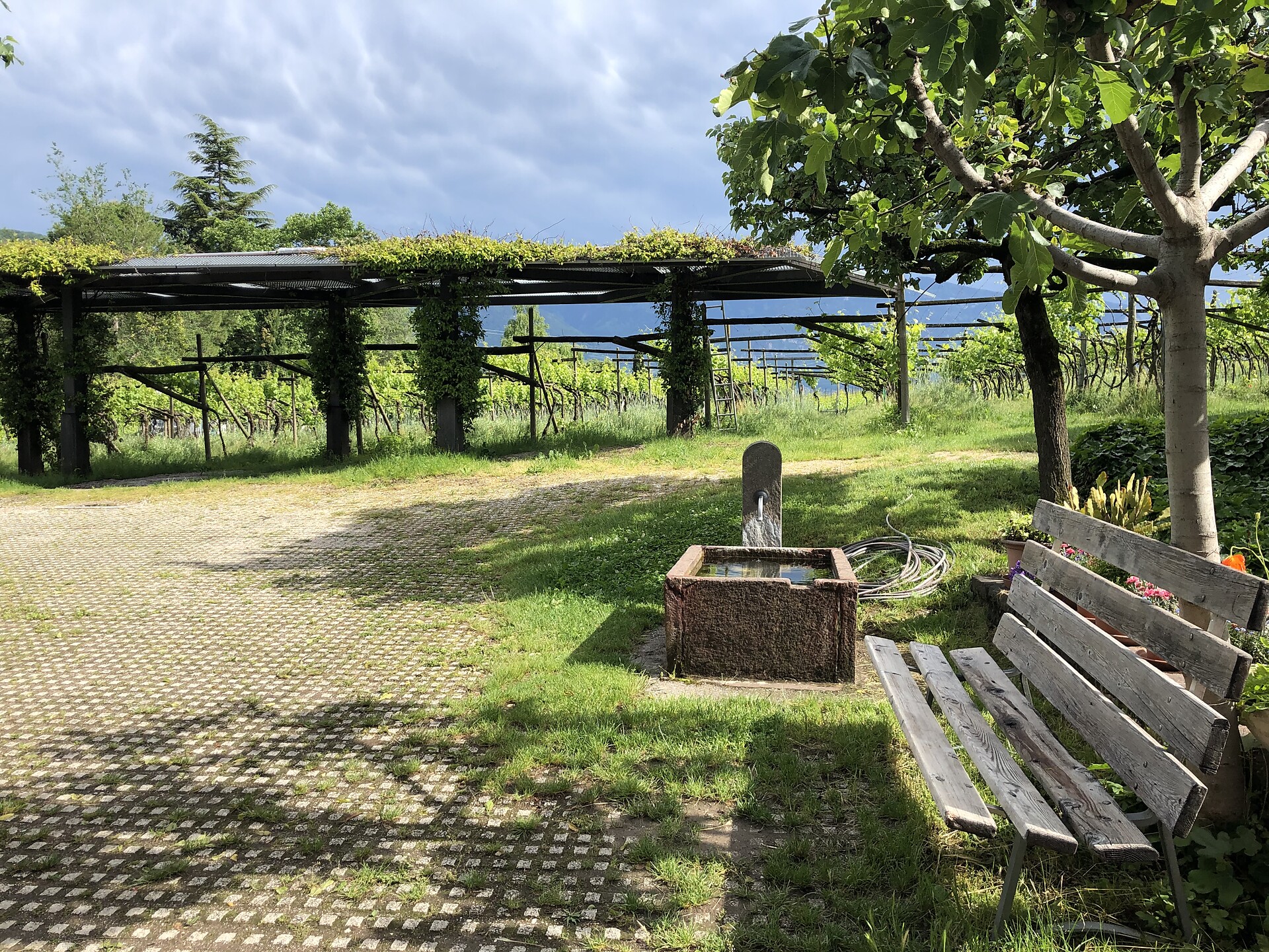 Pension Remichhof - Alto Adige Wine Road - #18 - suedtirol.info