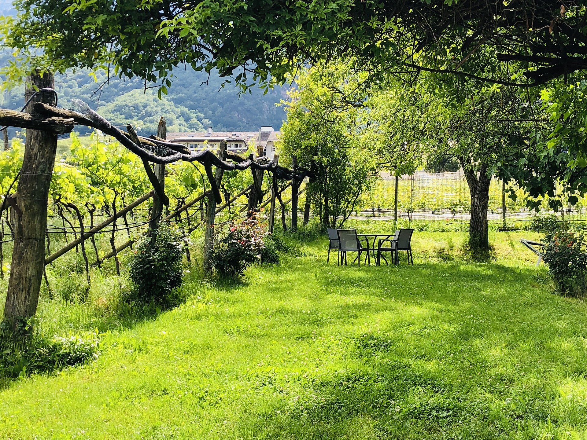 Pension Remichhof - Alto Adige Wine Road - #19 - suedtirol.info