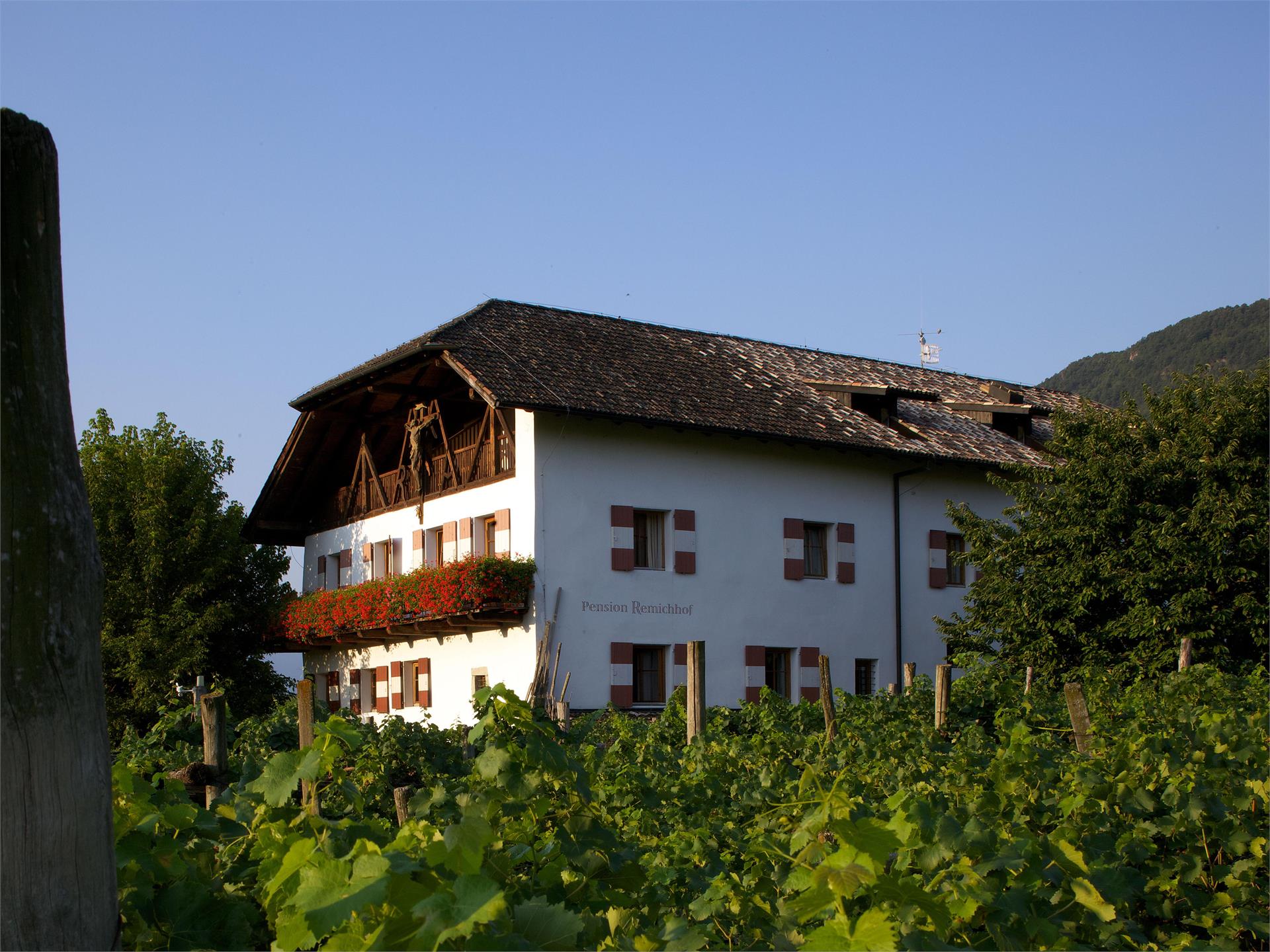 Pension Remichhof Kaltern an der Weinstraße/Caldaro sulla Strada del Vino 1 suedtirol.info