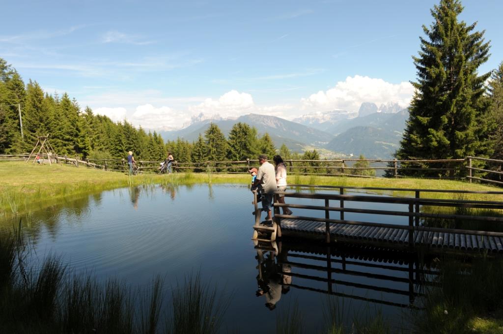 Pardumerhof Villanders 5 suedtirol.info