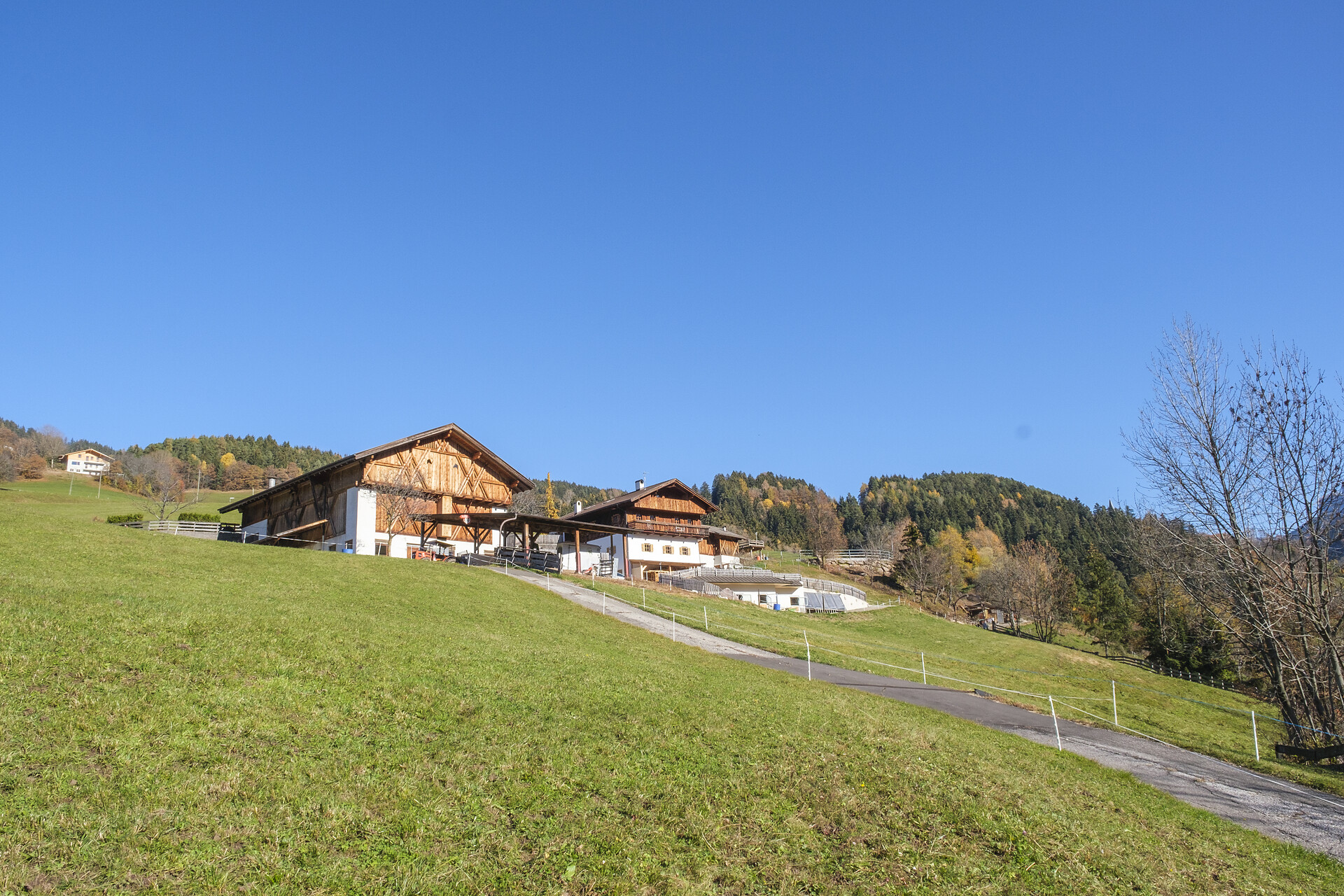 Portzloamerhof