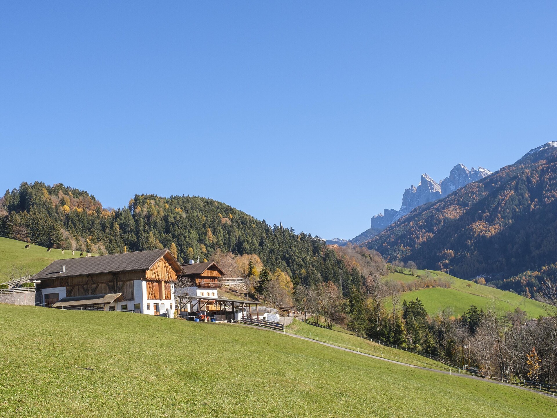 Portzloamerhof