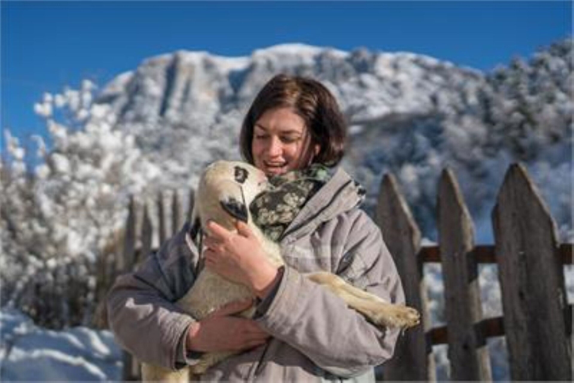 Peternaderhof Völs am Schlern 13 suedtirol.info
