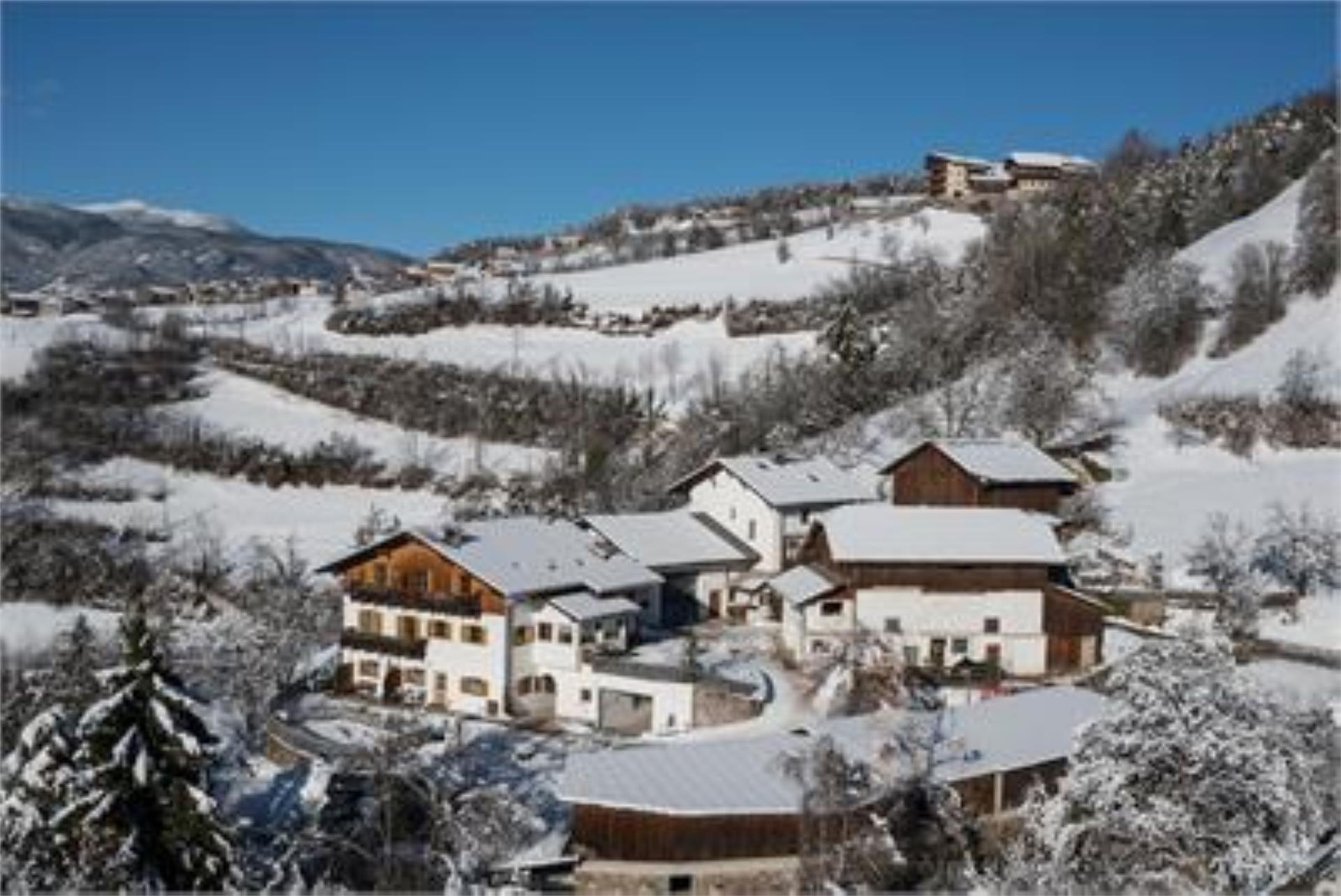 Peternaderhof Völs am Schlern 12 suedtirol.info