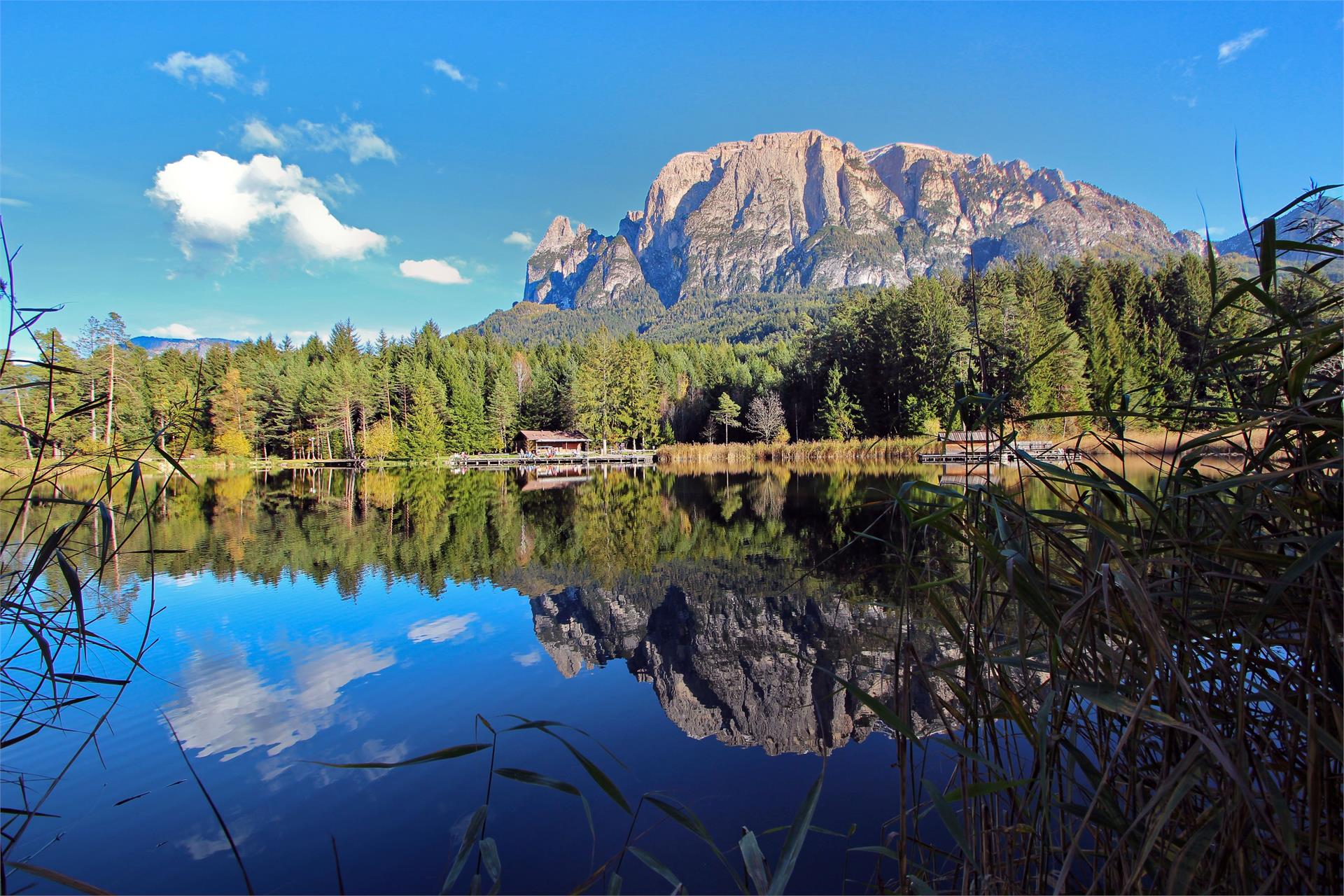 Peternaderhof Völs am Schlern 10 suedtirol.info