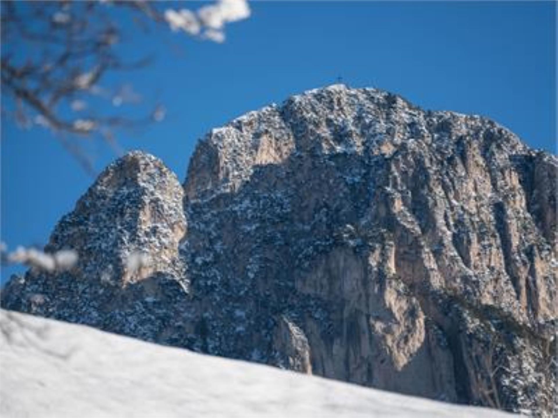 Peternaderhof Völs am Schlern 18 suedtirol.info