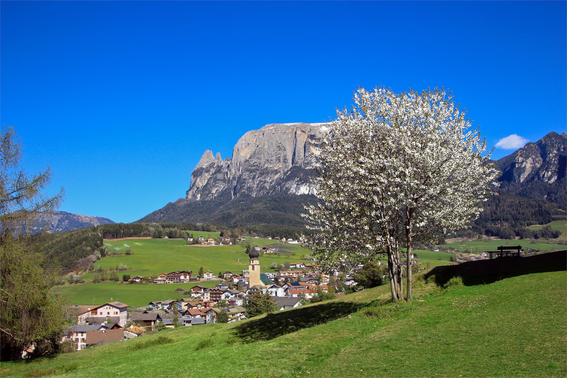 Peternaderhof Völs am Schlern 9 suedtirol.info