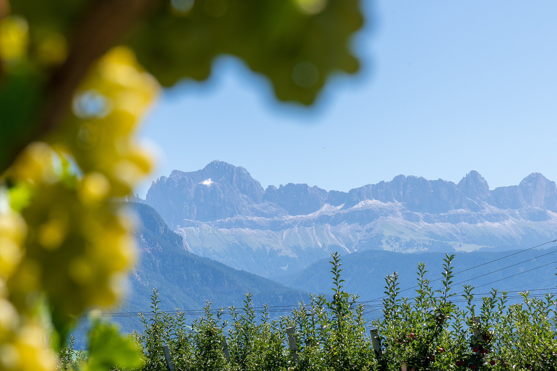 Rosengarten