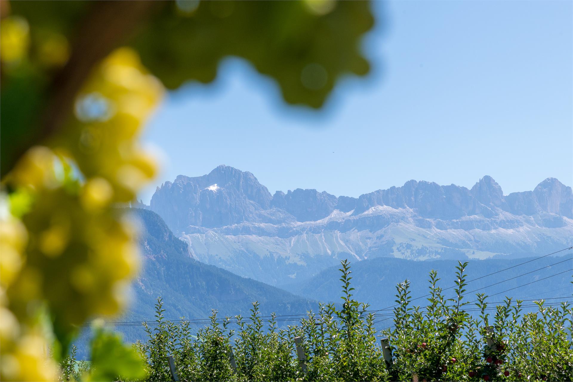 Plattnerhof Ritten 5 suedtirol.info